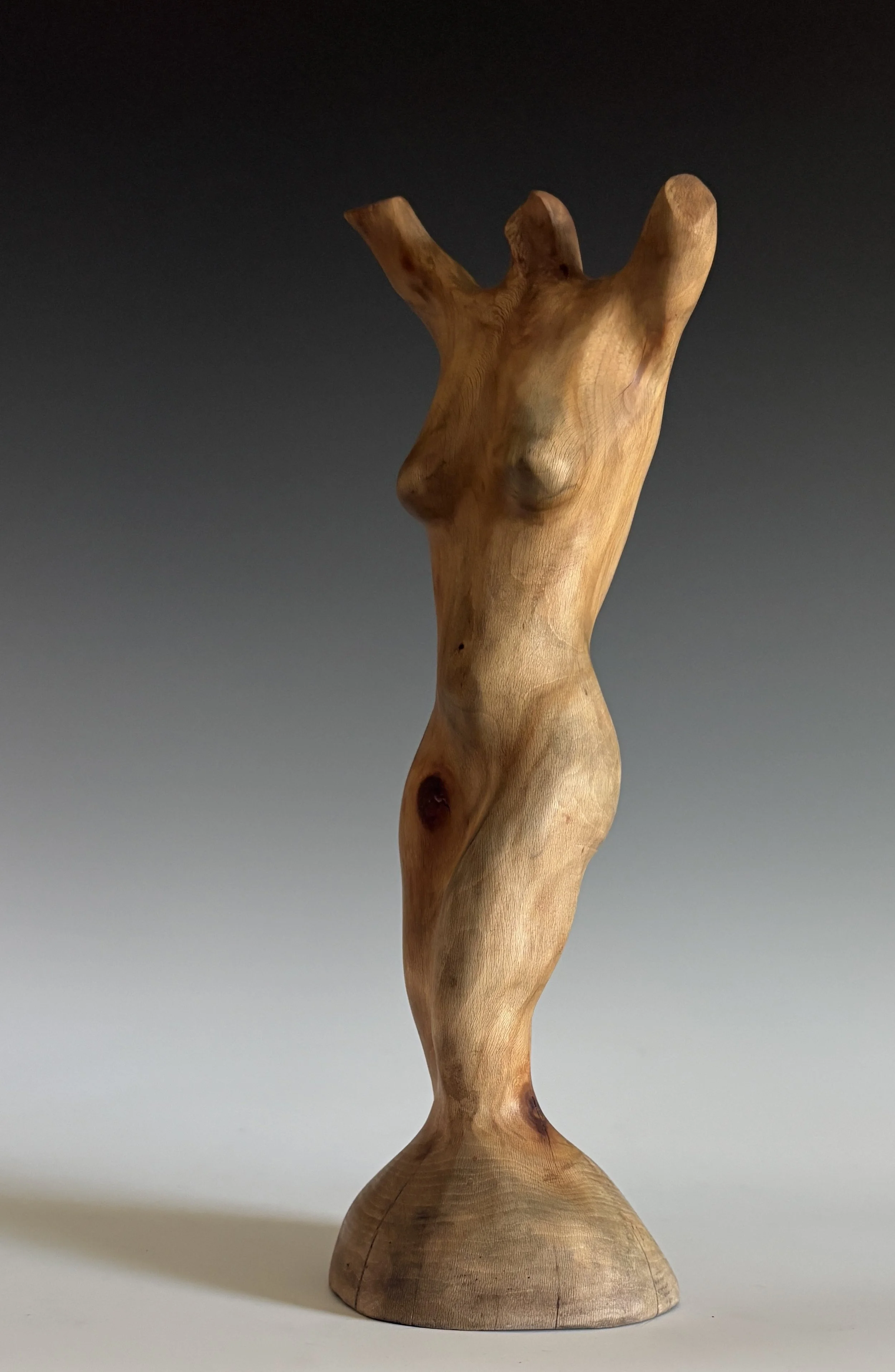 Soft Power — 14 x 5 in. 