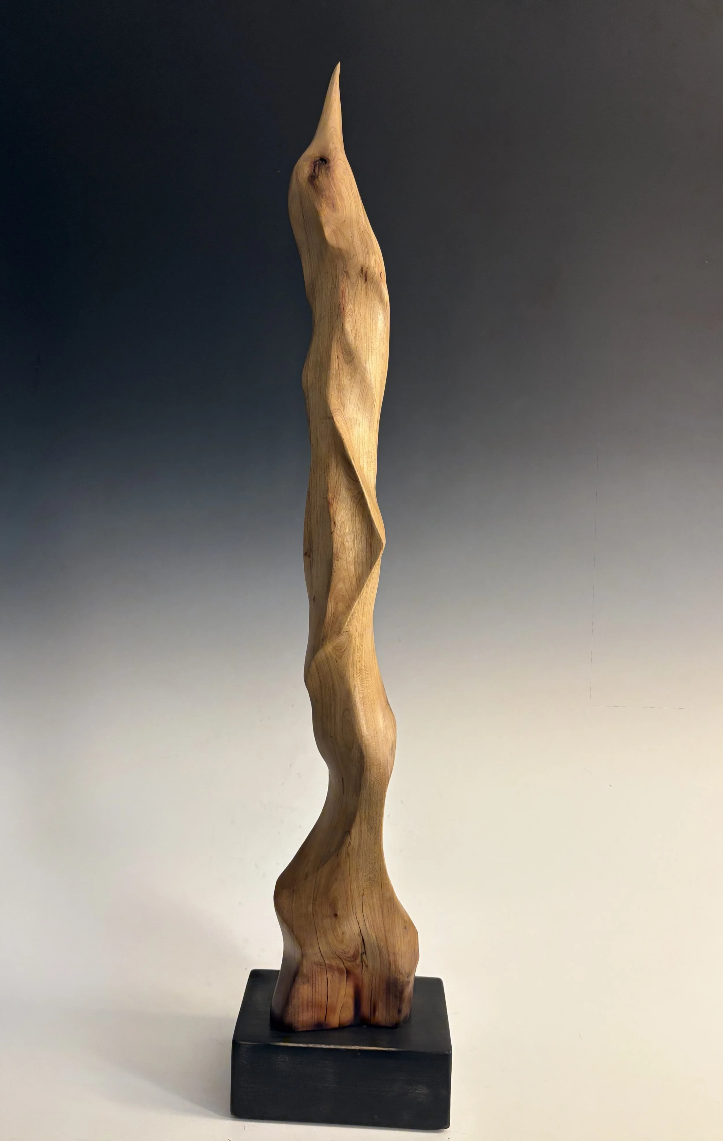 2025 Seeking the Sun 27x6 BC.jpg