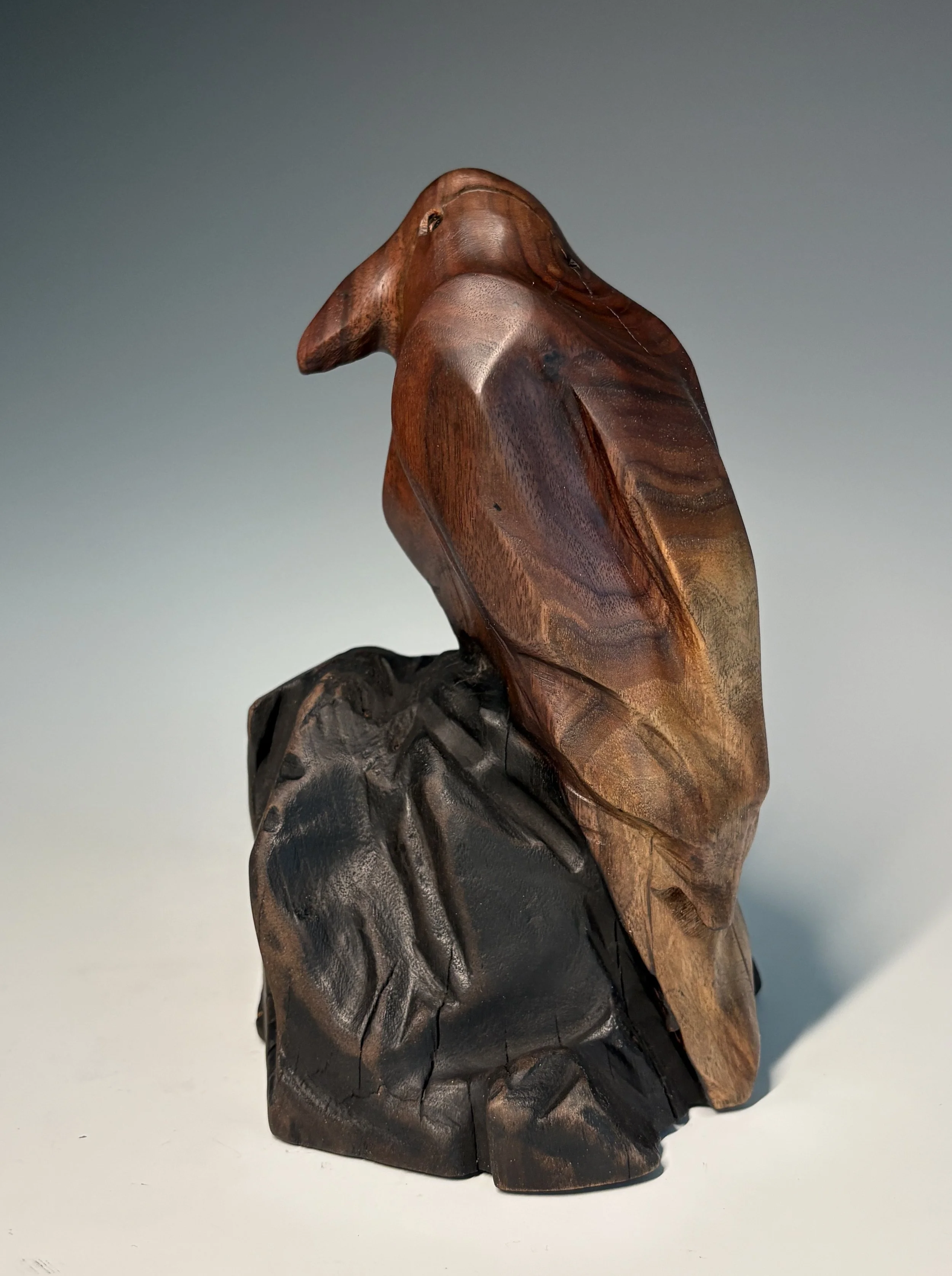 Walnut Raven — 9 x 6 in. 