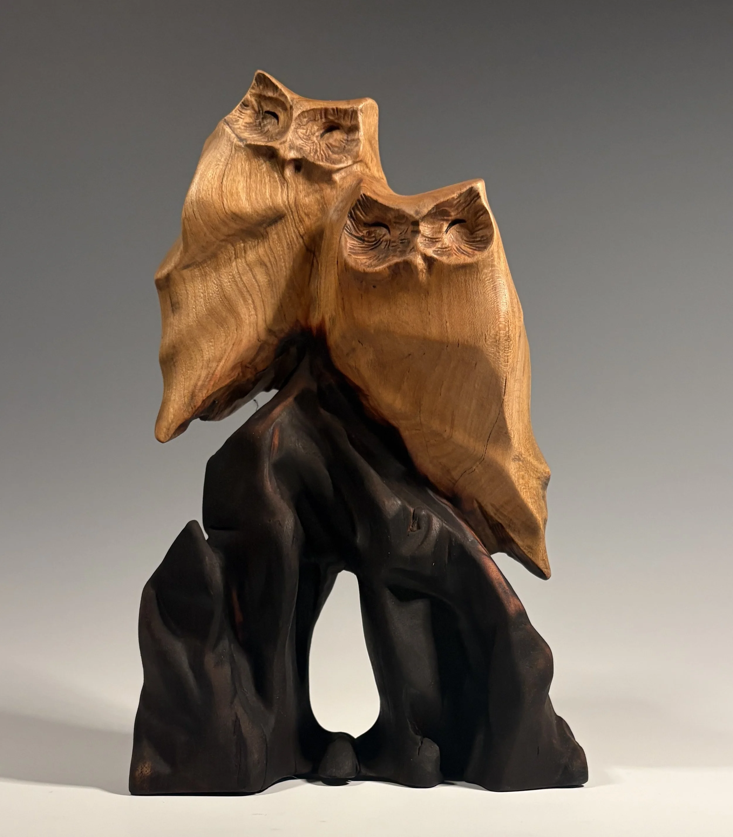 Carpe Diem VI, 2025. Black Cherry — 10 x 6 in, private collection.