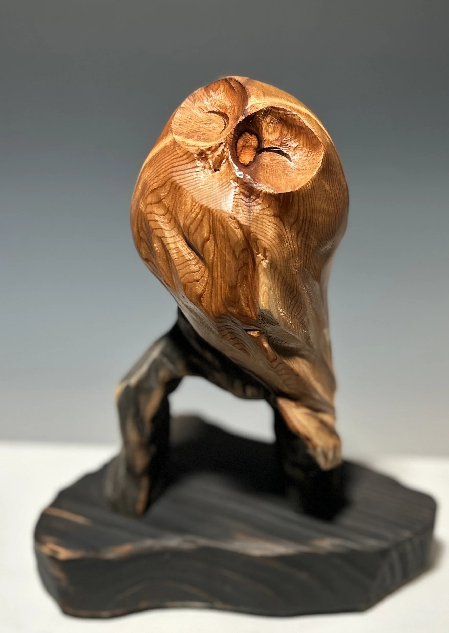 Perched in Twilight — 10 x 8 in.