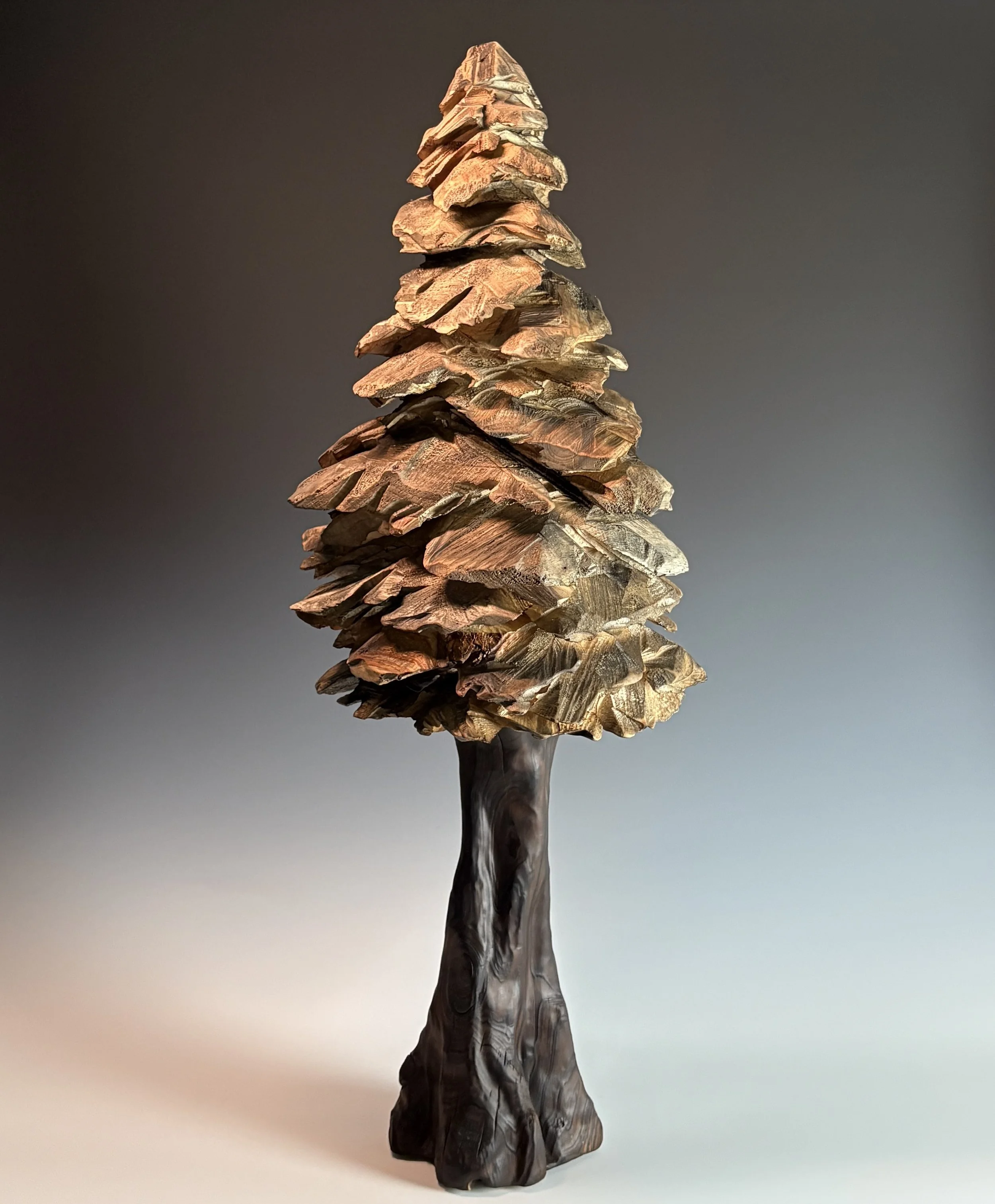 2025 Summer’s Promise 35x12 LC and WP.jpg