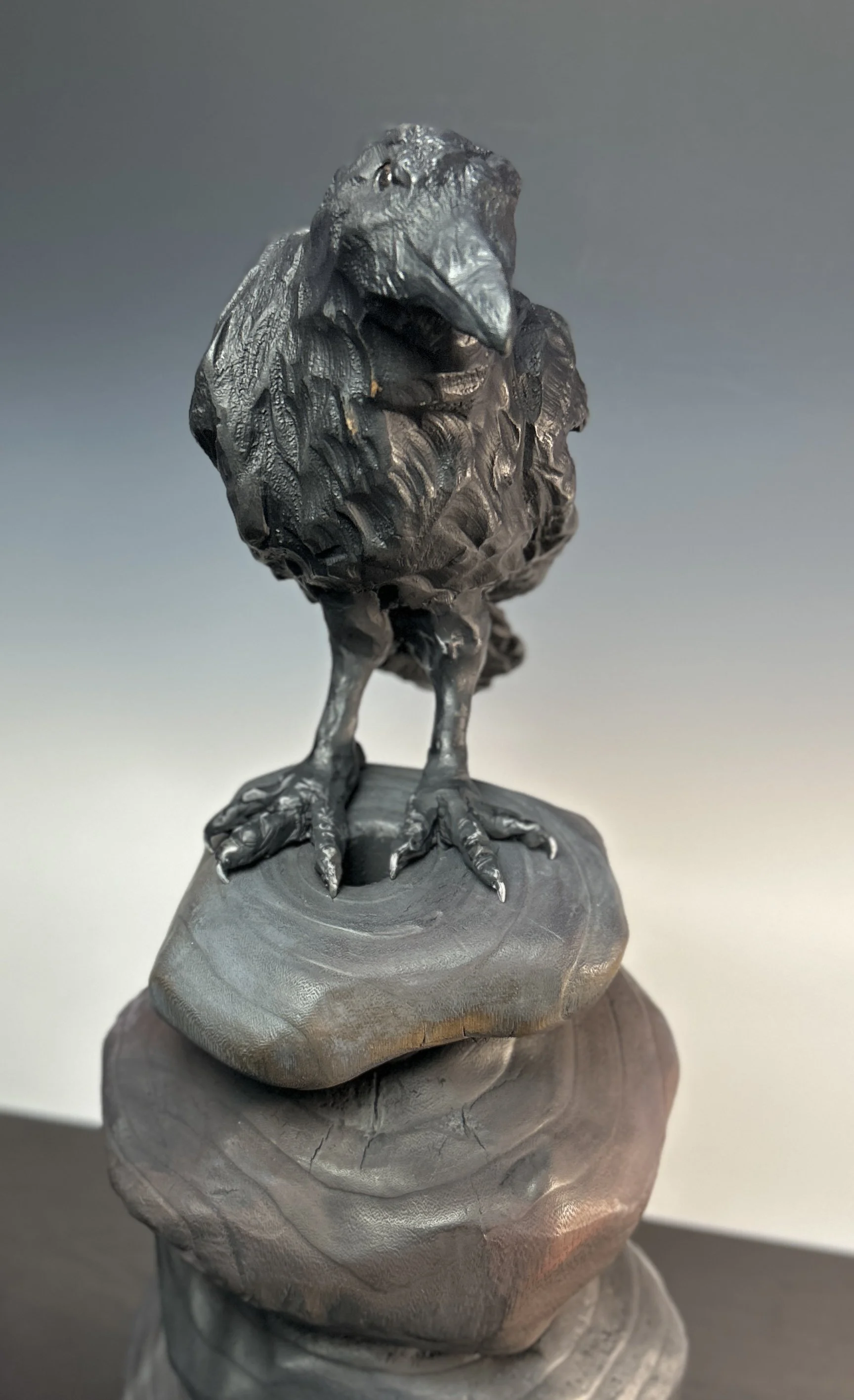 Intrigue, 2024. Paulownia — 27 x 13 in, private collection.