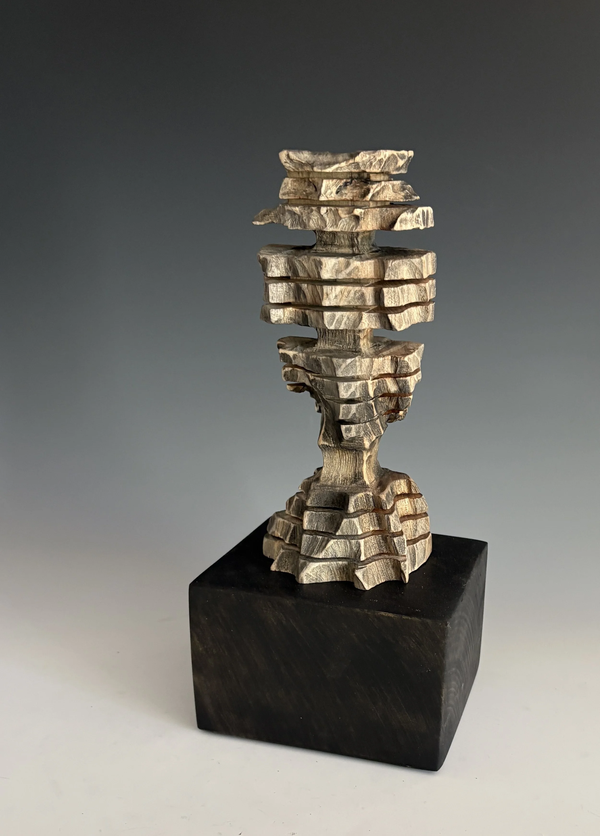 Vanishing — 13 x 6 in.