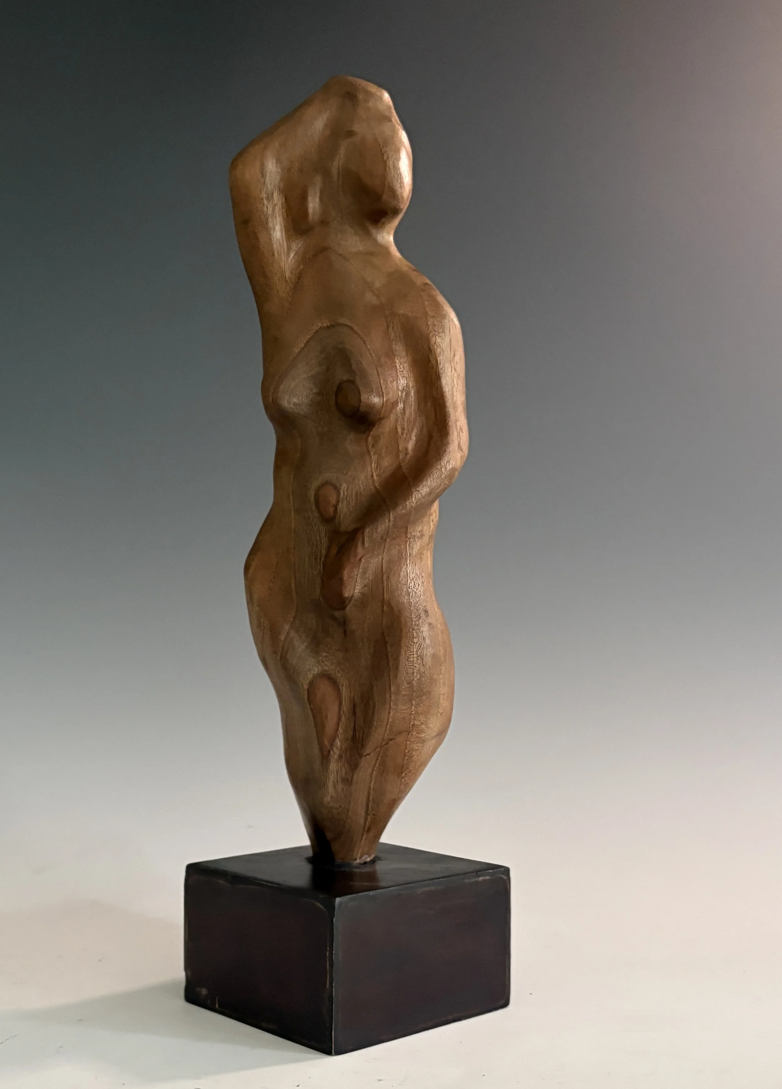 Secrets of Eve — 14 x 4 in.