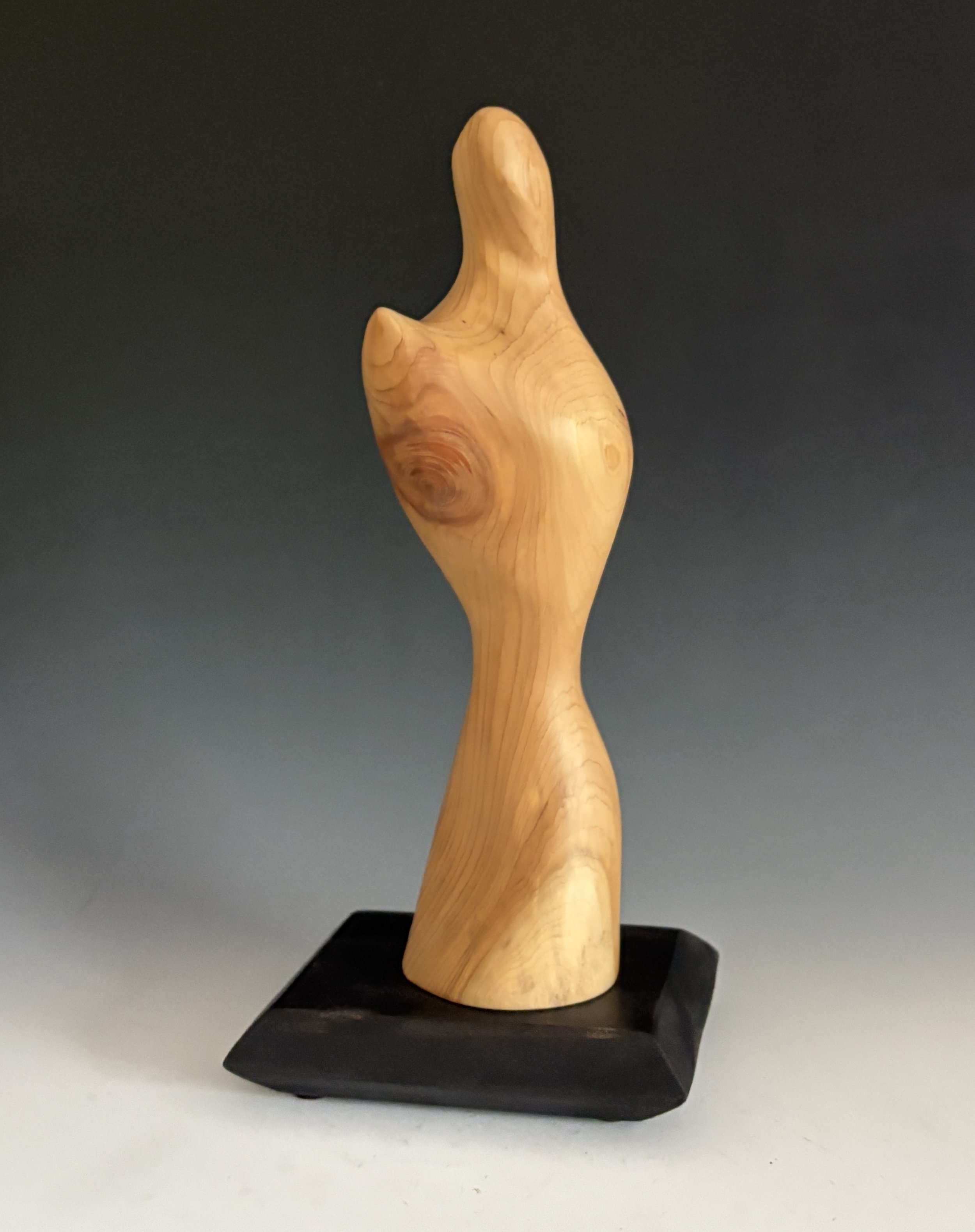GIVING
white cedar, 11"