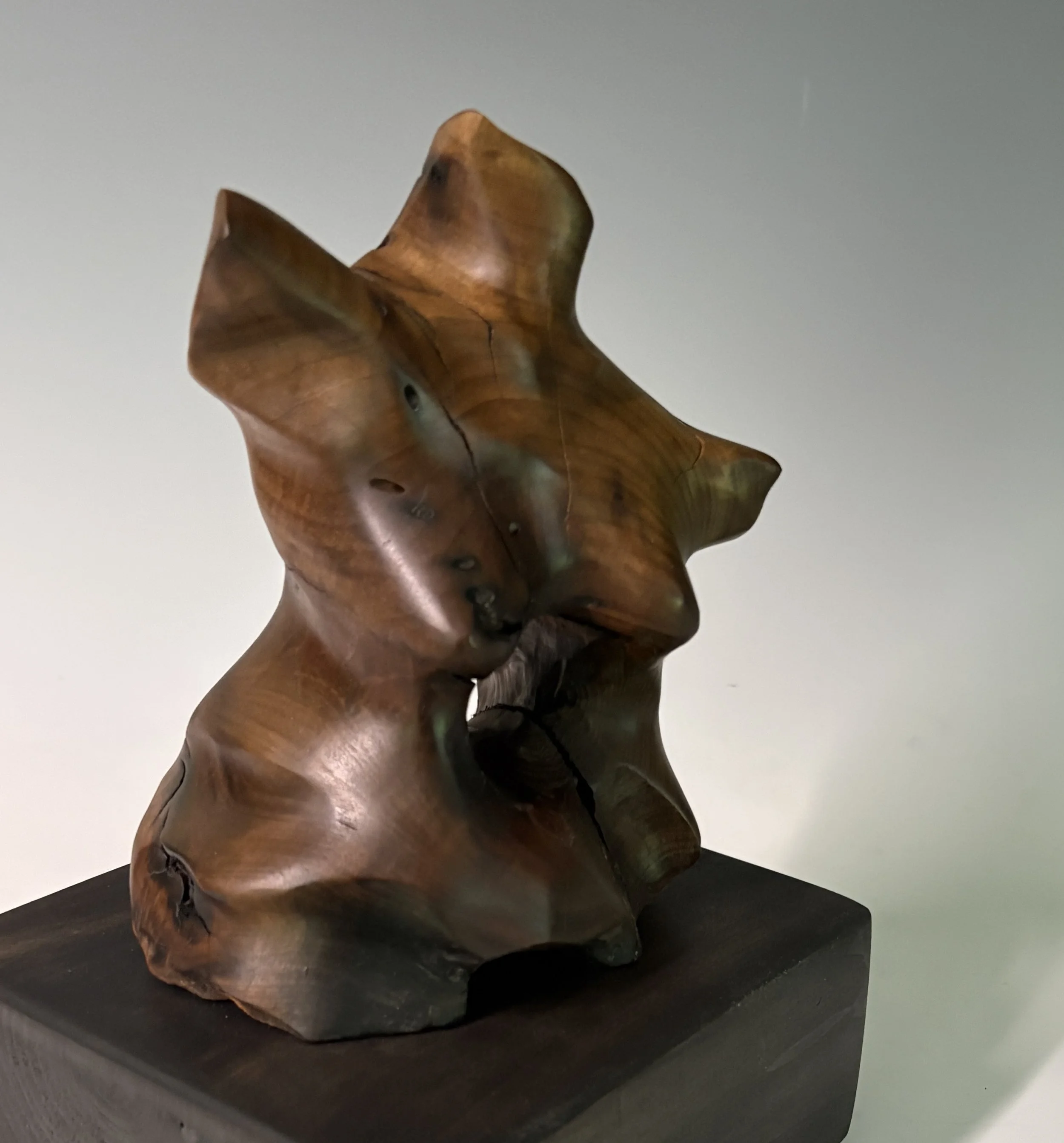 Gaia — 9 x 6 in.
