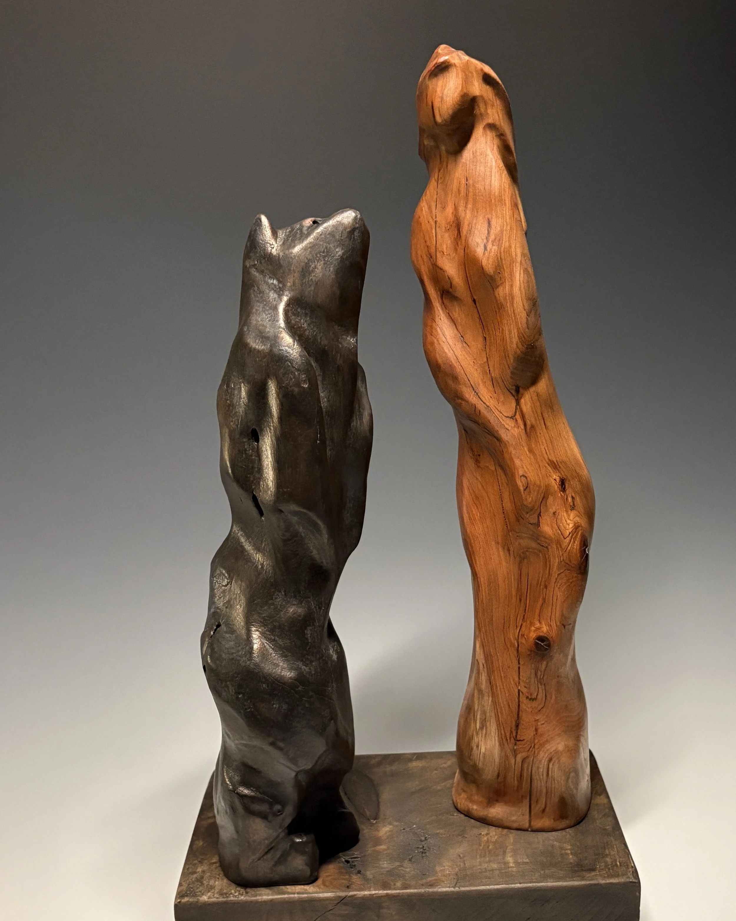 Beauty and the Bear, 2026. Black Cherry, bronze coating (bear) — 19 x 10 in, The Lucy Clark Gallery.