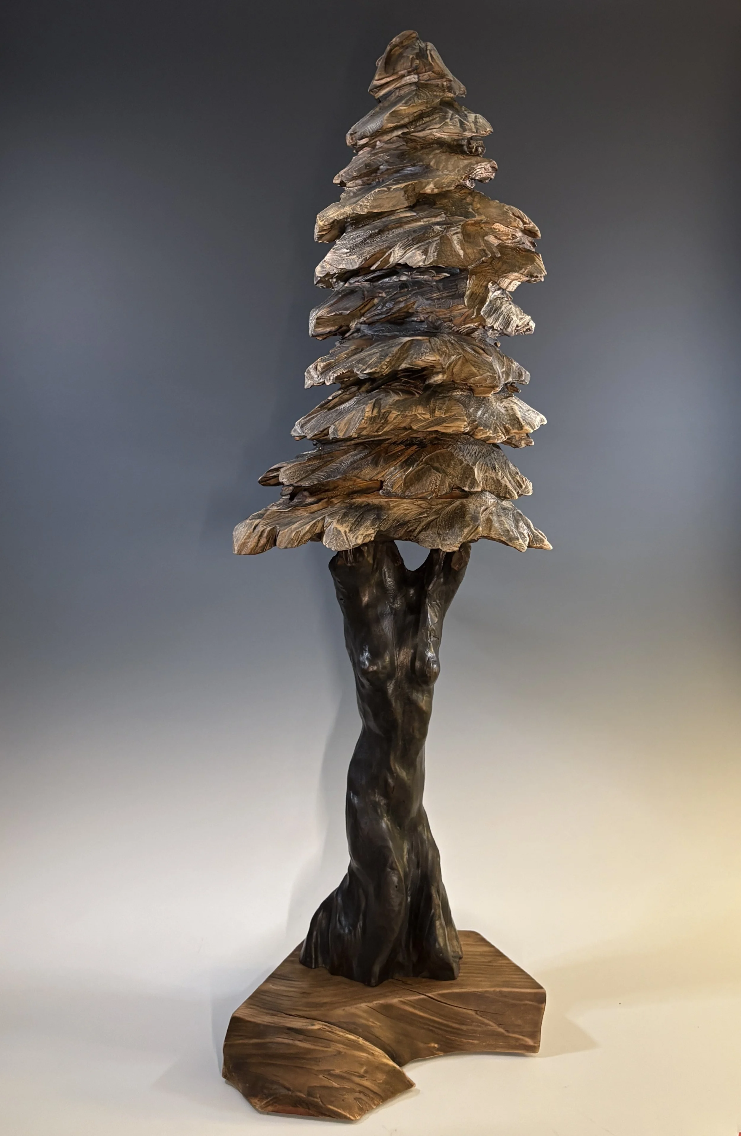 2025 Daphne 42x14 LC and WP.jpg