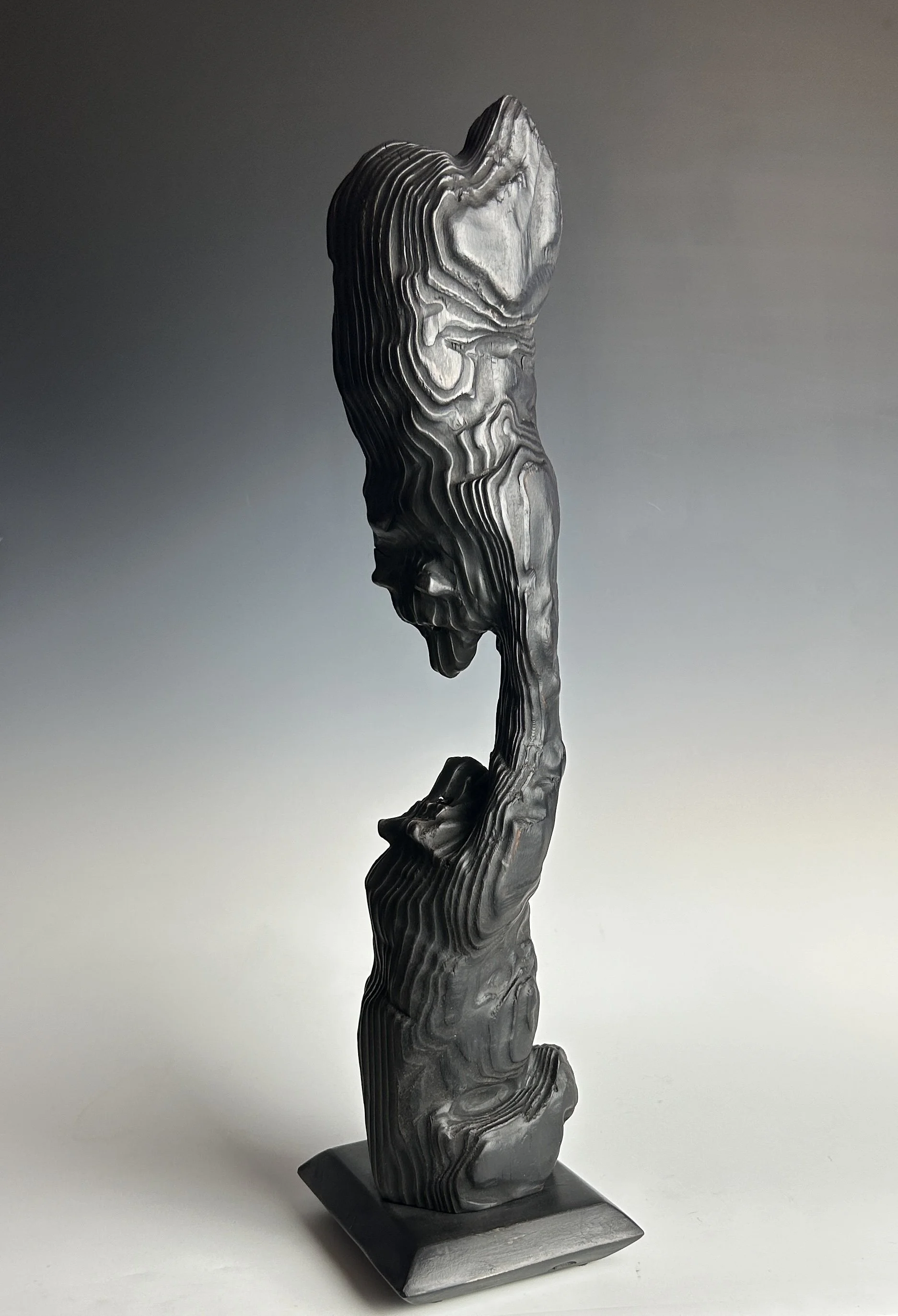 I've Got You!, 2024. Douglas Fir — 19 x 6 in, private collection.
