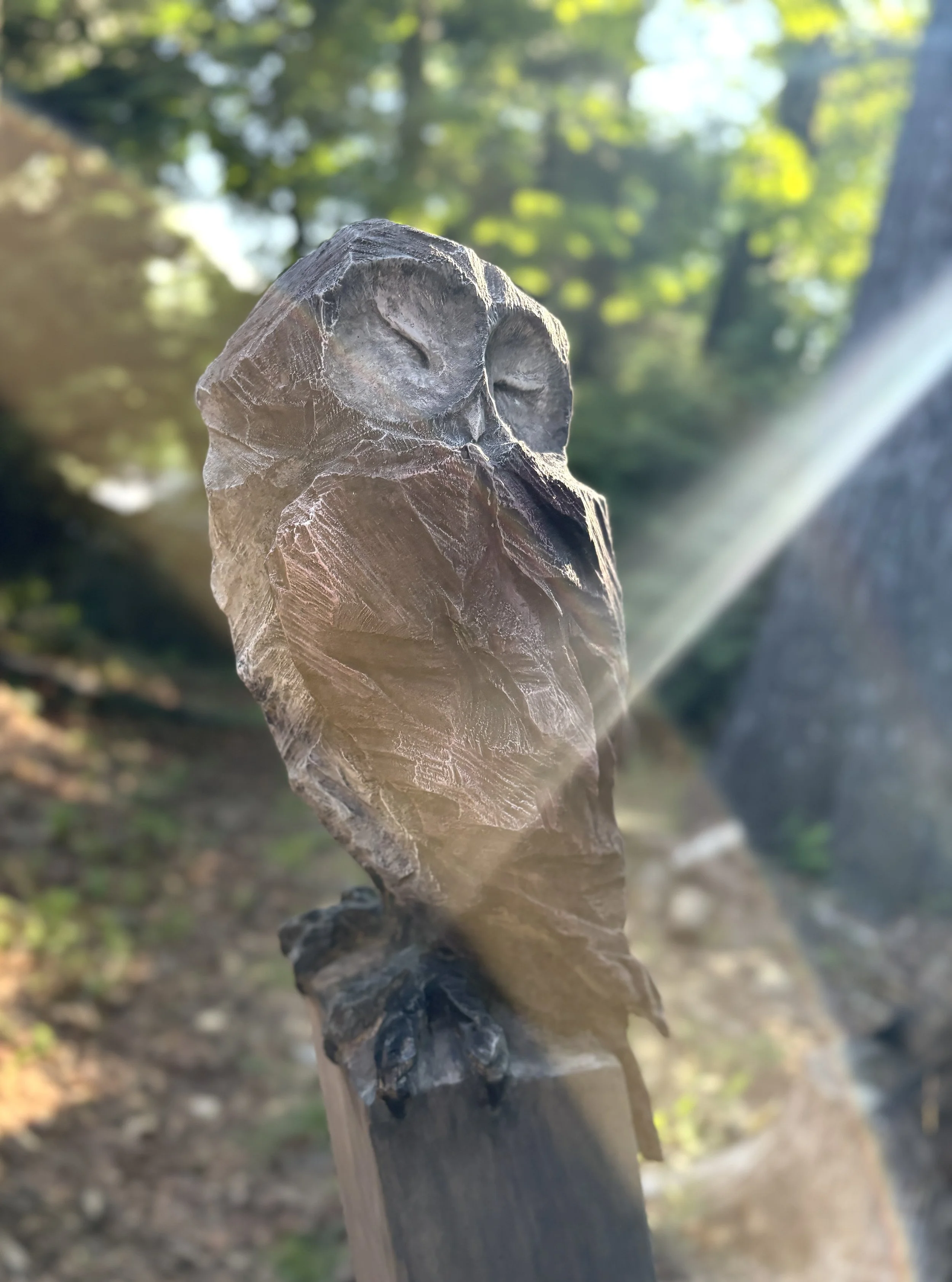 The Oracle — 51 x 21 in.