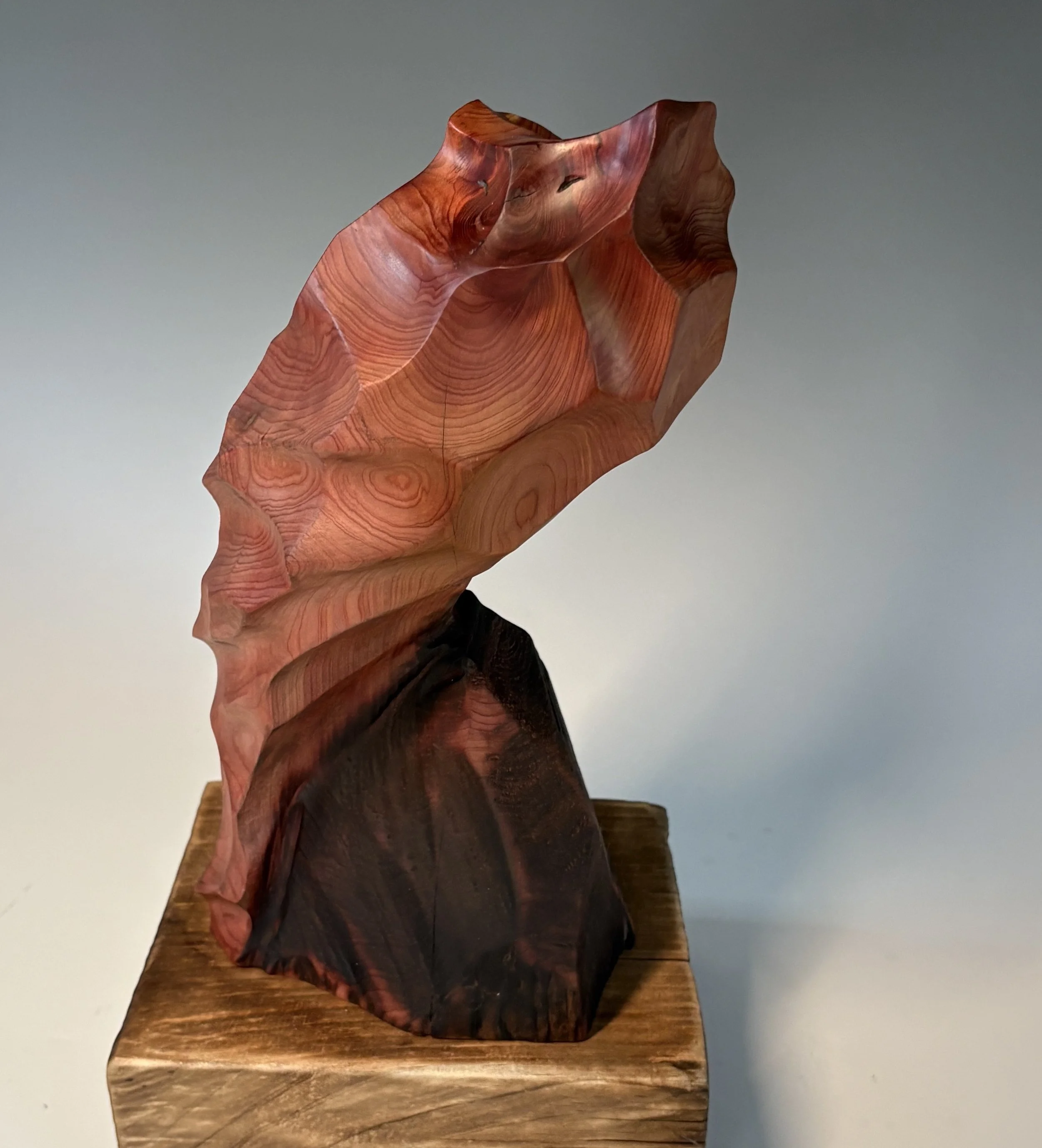 Joyful Aria — 13 x 7 in. 