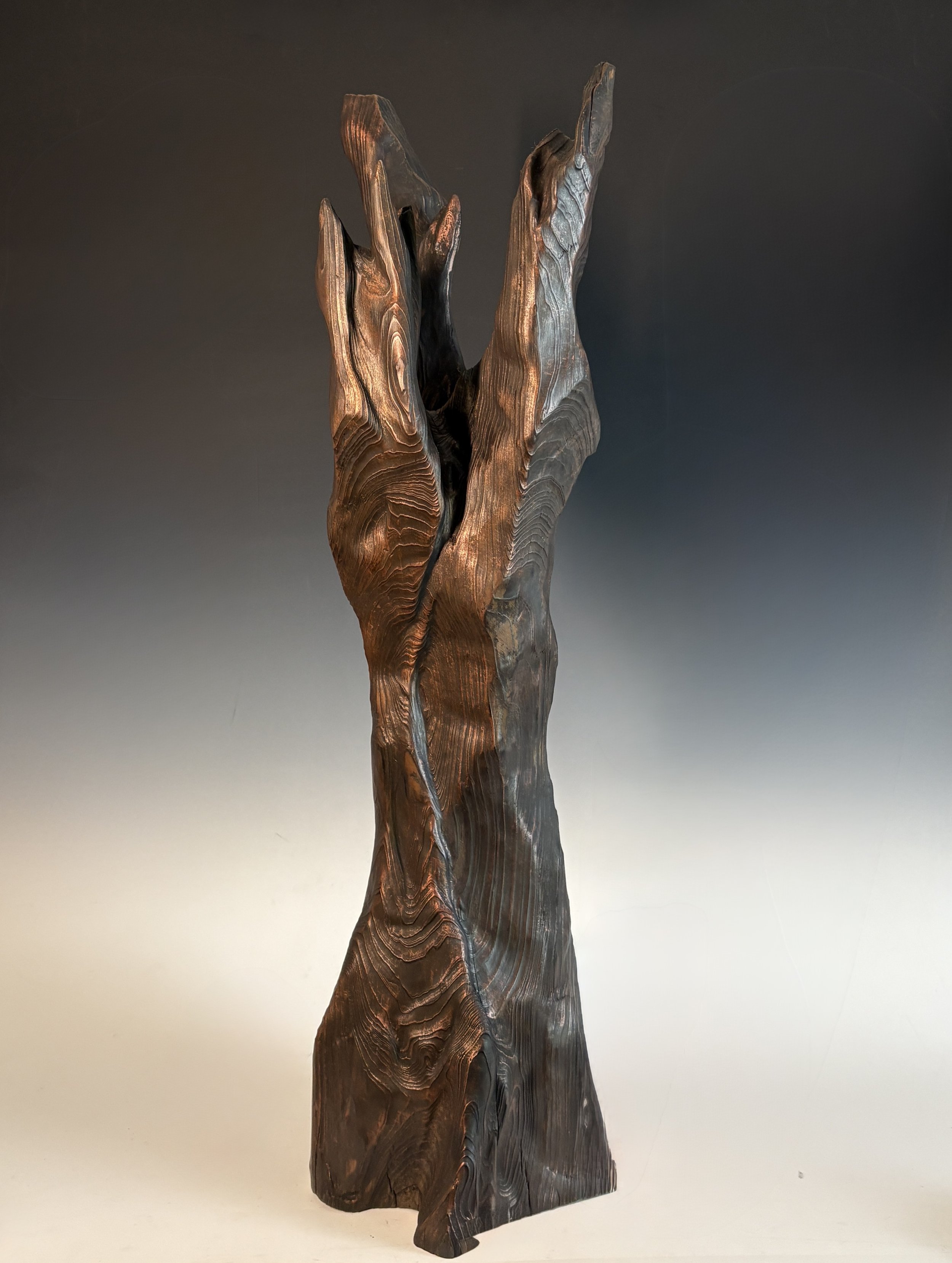 MYSTIC GROVE III
cypress, 25"