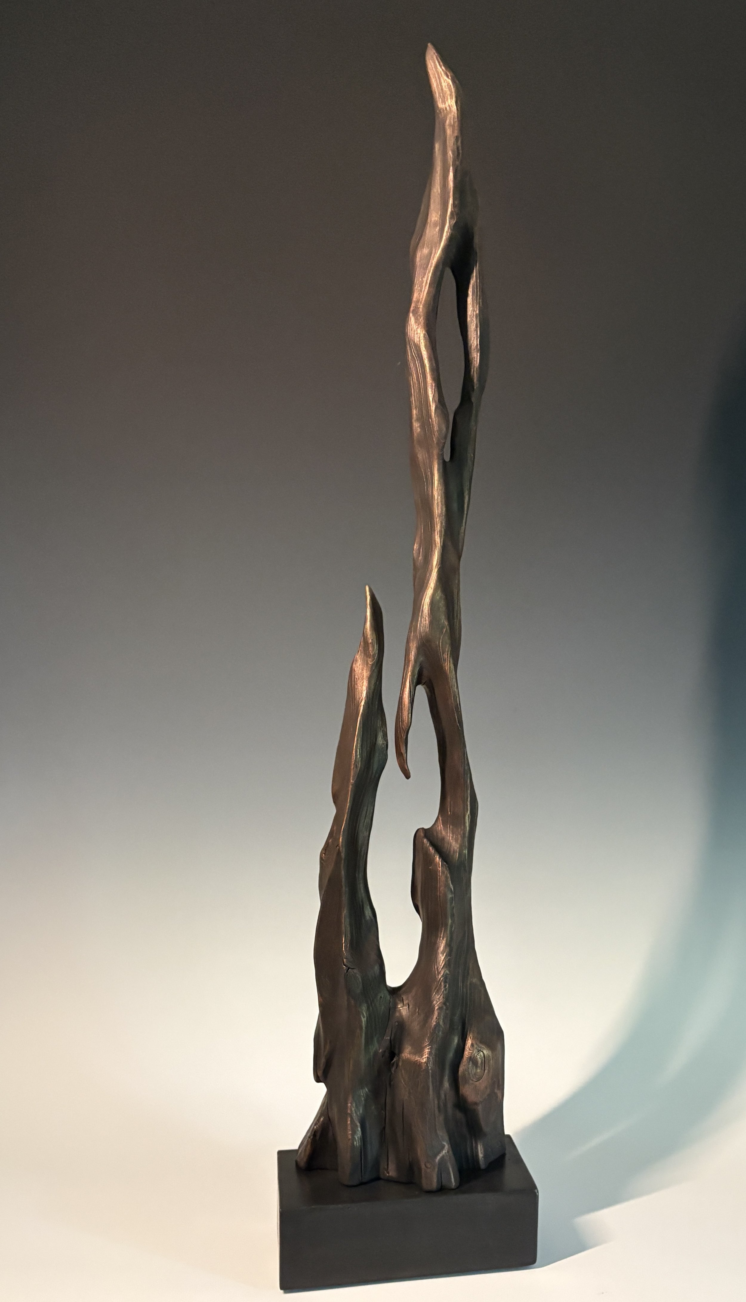 SEEKING THE SUN III
cypress, 38"