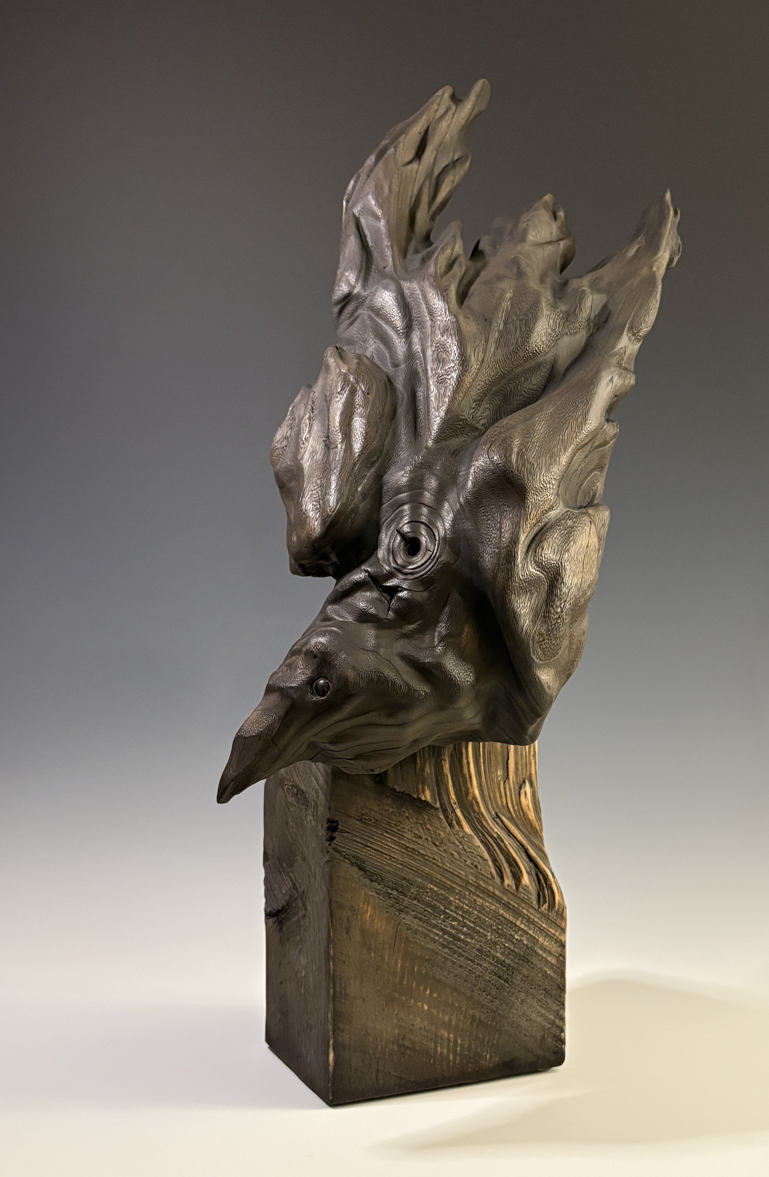 Raven’s Breath, 2025. Paulownia — 25 x 12 in, private collection.