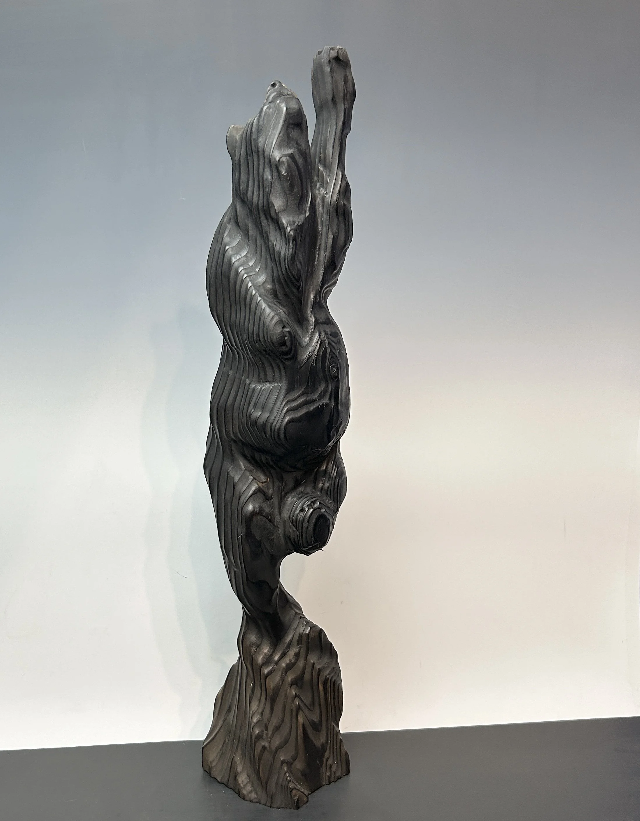 To Catch a Firefly, 2024. Douglas Fir — 20 x 4 in, private collection.