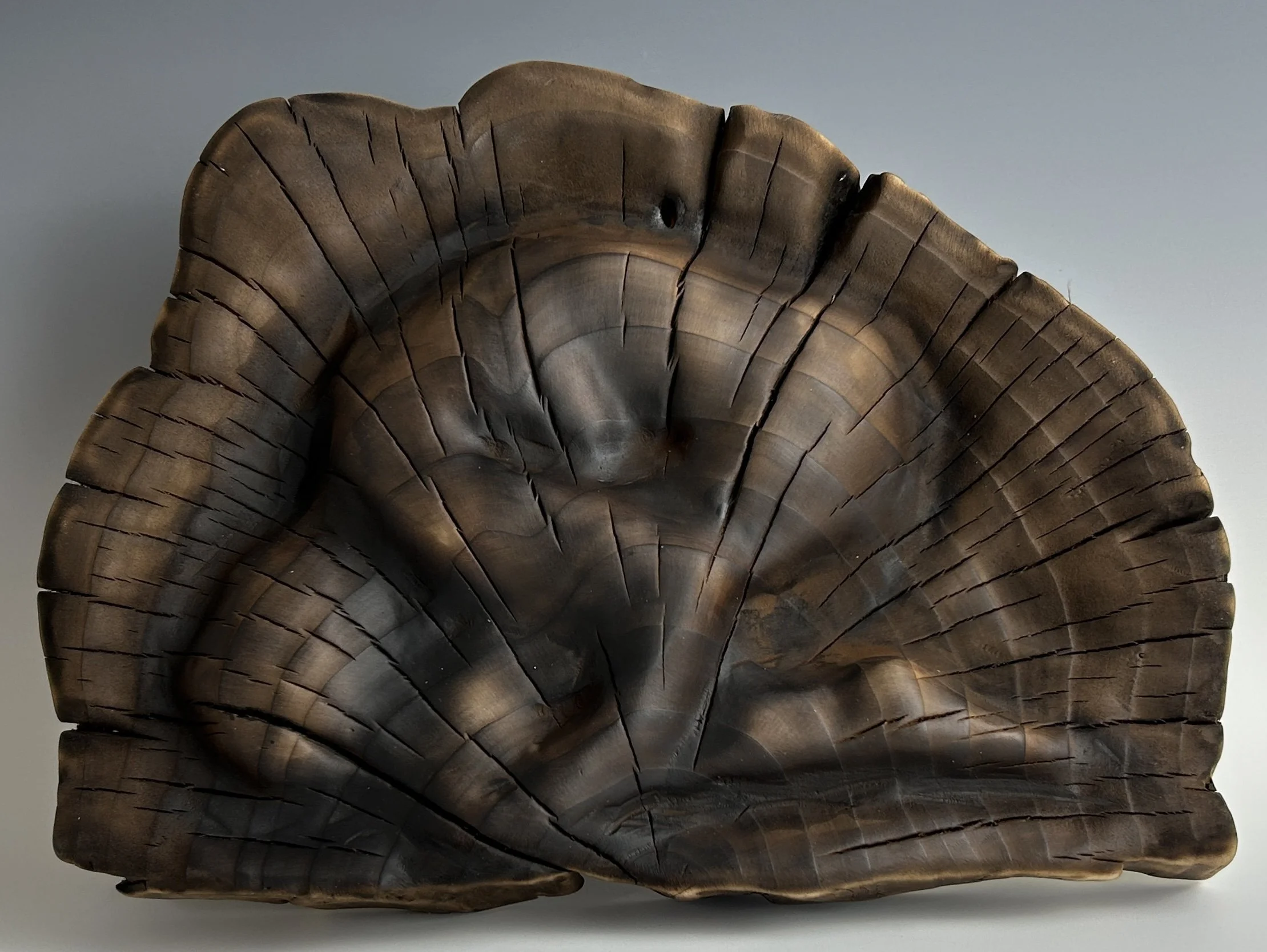 Private Lament I, 2023. Baldcypress — 12 x 9 in. Private Collection