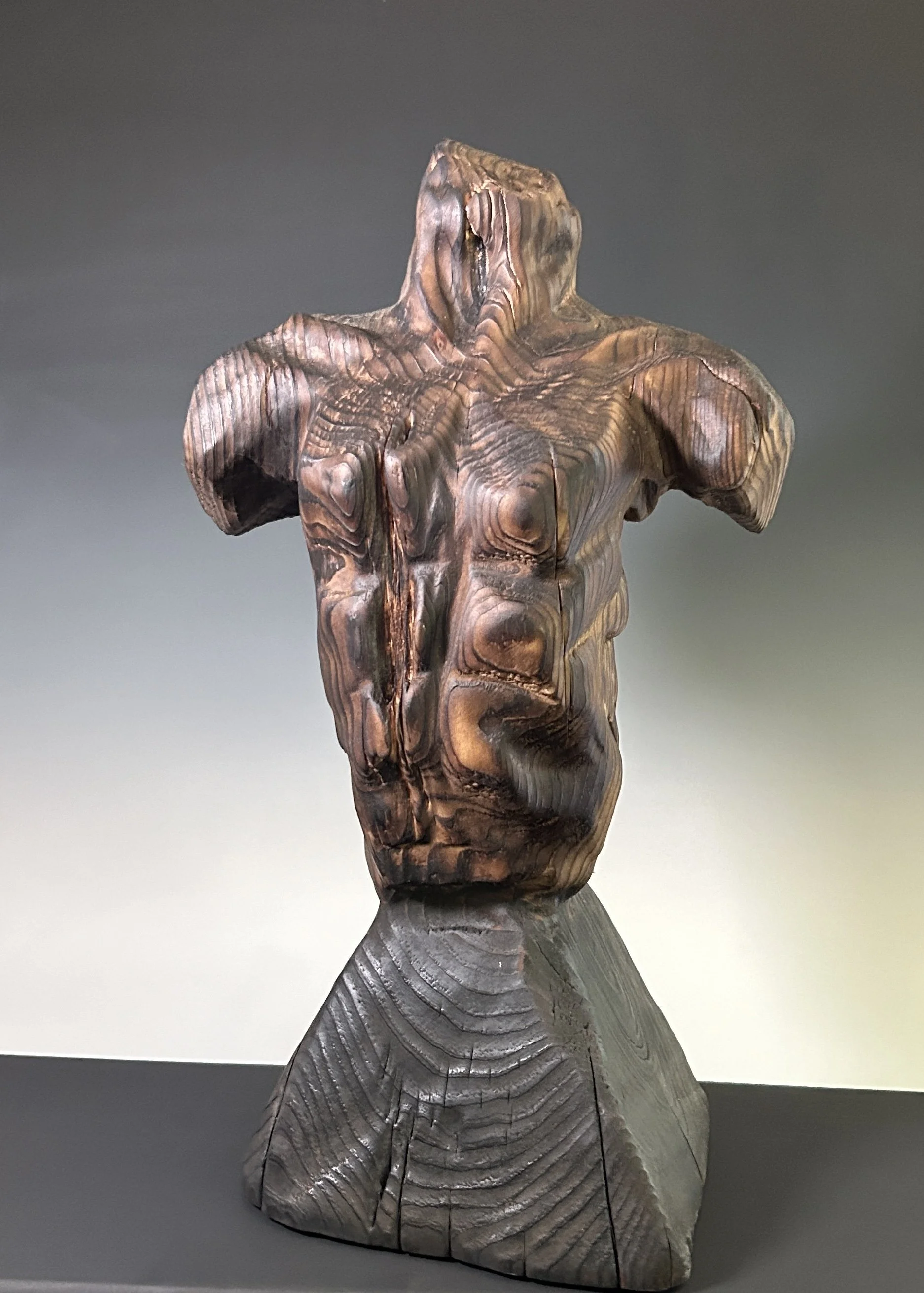 Titan's Form, 2024. White Pine — 16 x 9 in. Private Collection