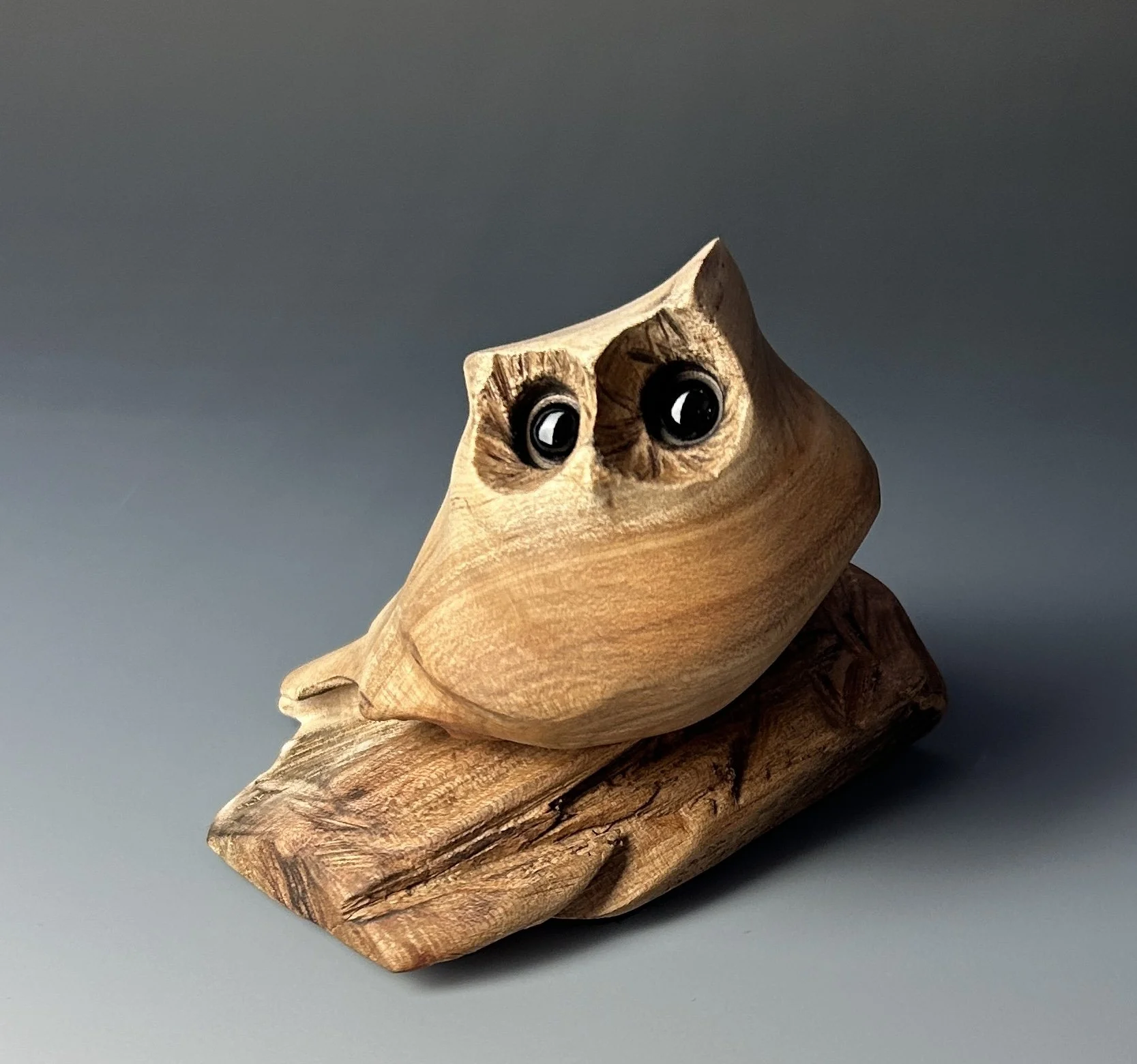 Moonlight Joy, 2024. Black Cherry — 5 x 4 in.