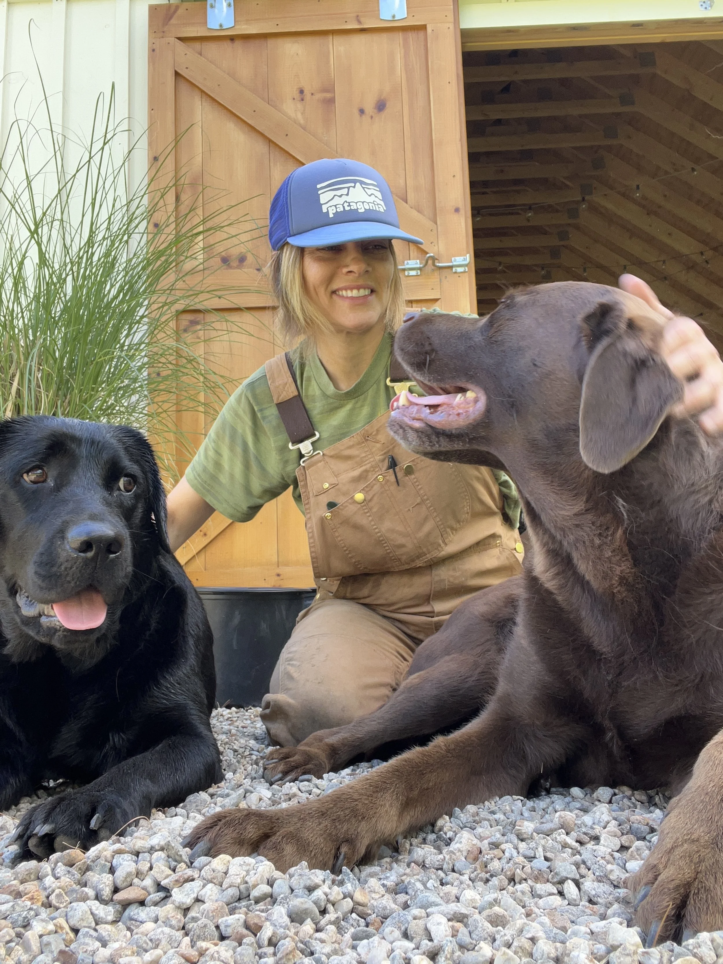 A woman wearing a blue Patagonia trucker hat, green shirt, and tan overalls, smiling and petting two dogs (a black Labrador Retriever and a chocolate Labrador Retriever) outside in front of a wooden shed with gravel on the ground.