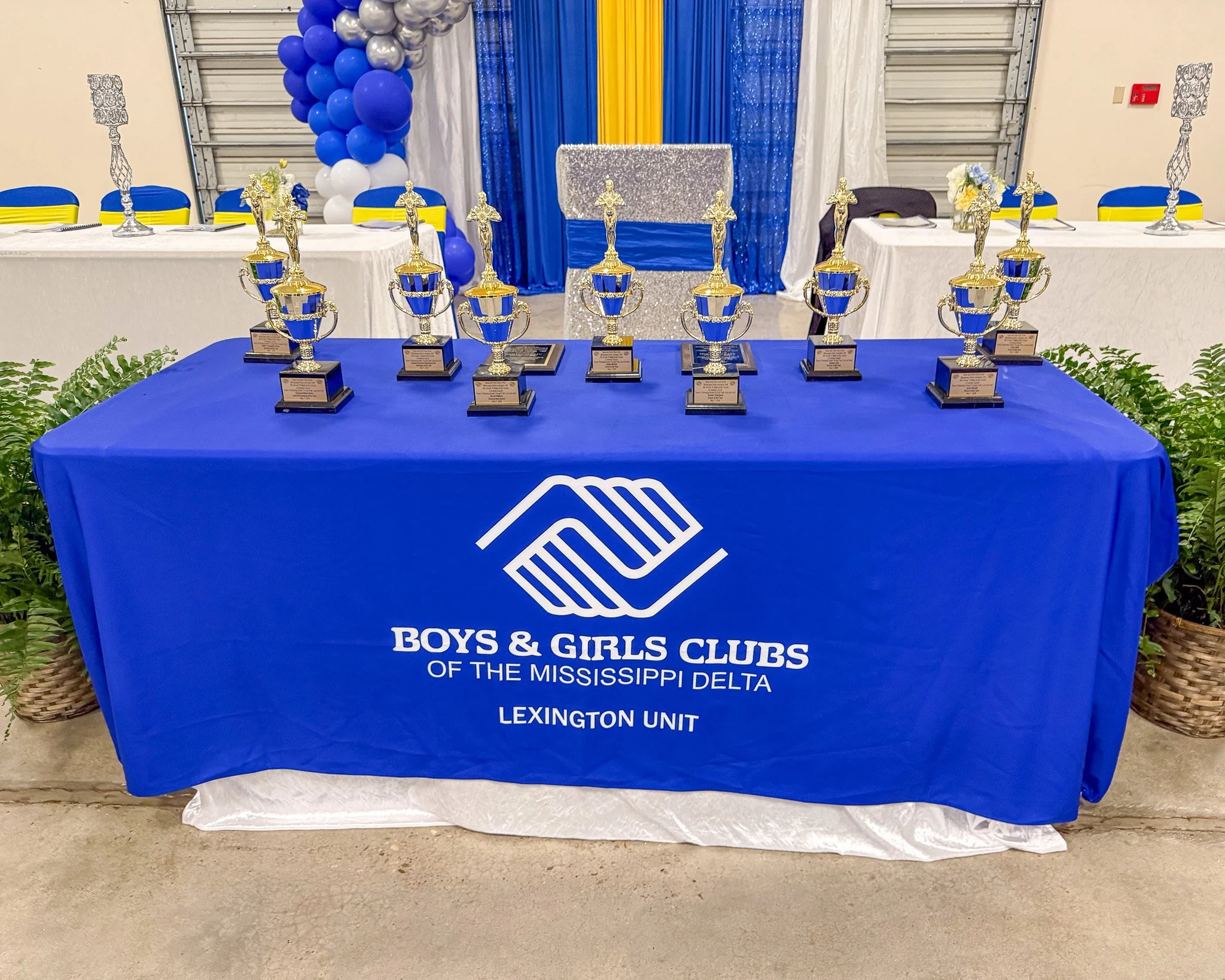 🎬 That&rsquo;s a wrap on A Night at The Oscars in Holmes County! ✨

Thank you to everyone who joined us on May 7 at the Lexington Multi-Purpose Complex Building. The room was stunning in silver, blue, and yellow &ndash; and our community shined even