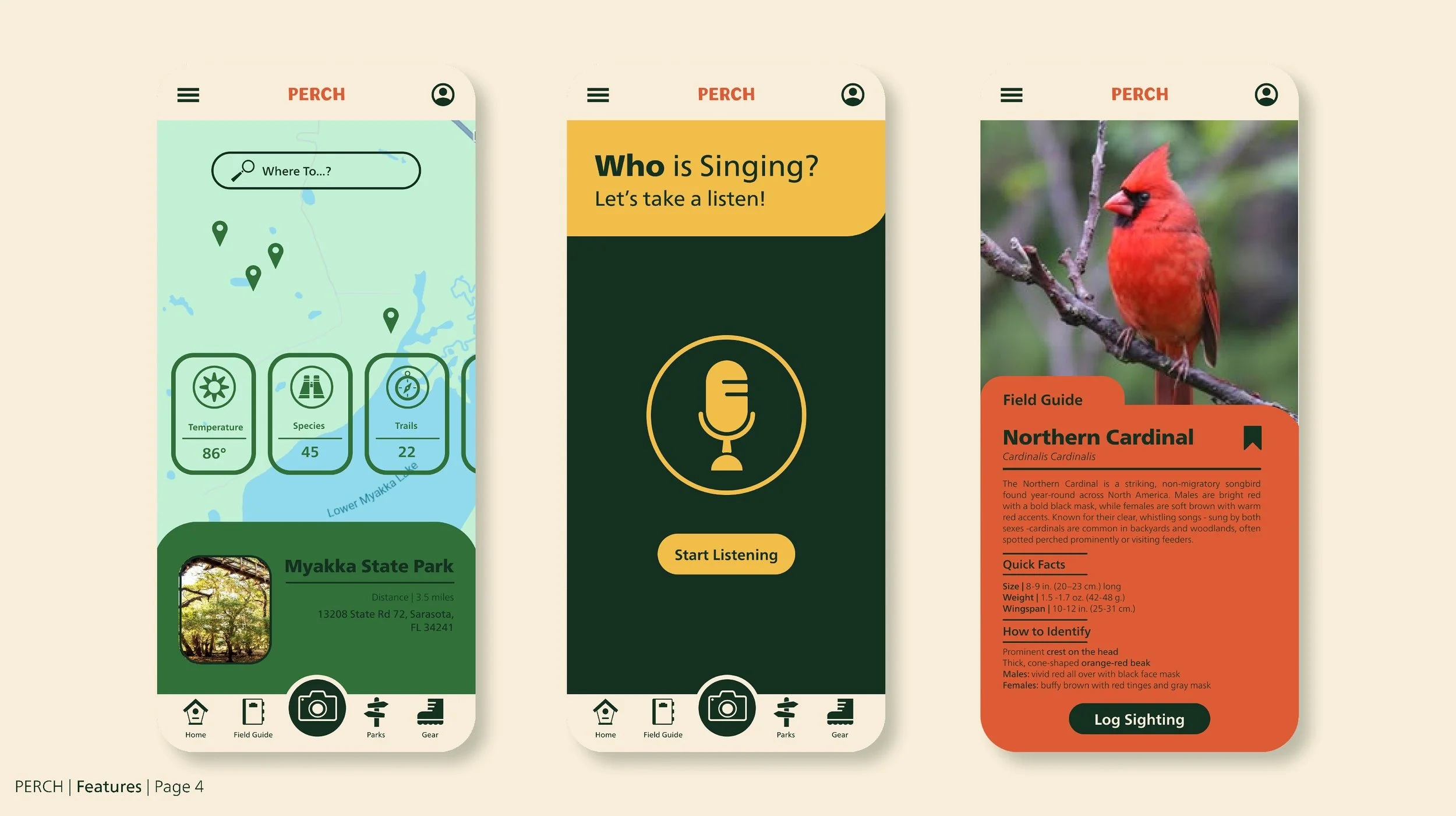 Perch - Presentation - 13.jpg