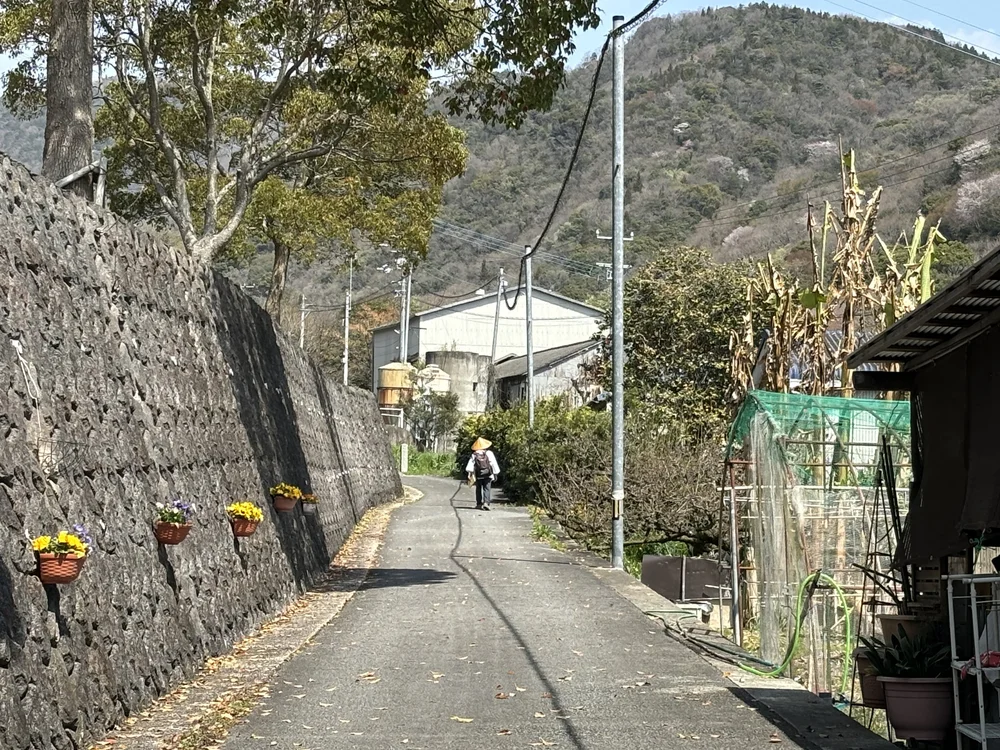 IMG_0905.jpeg