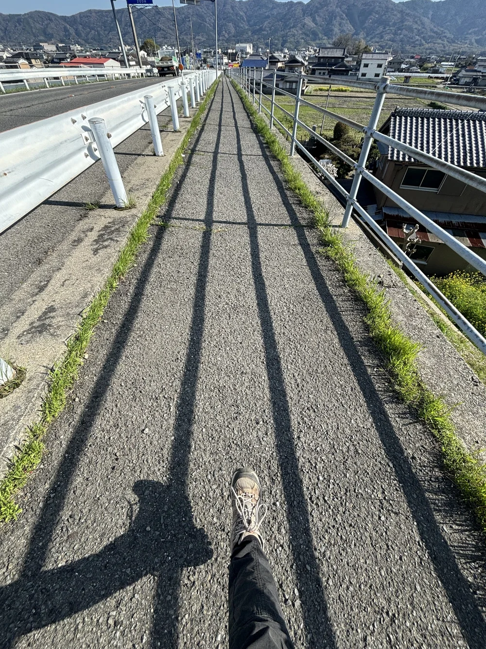 IMG_0973.jpeg