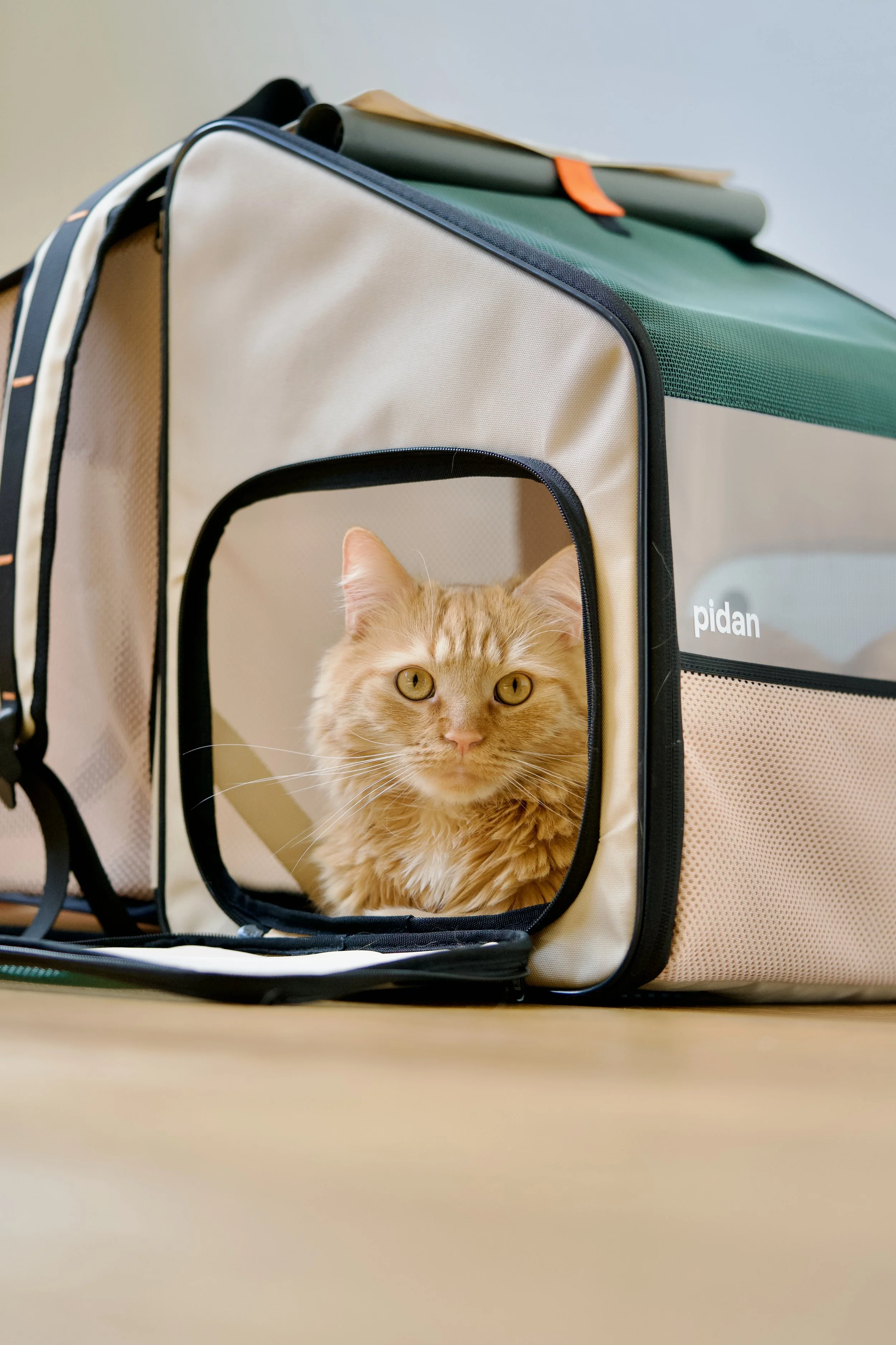 Untitled - 1 of 1 (1).jpeg