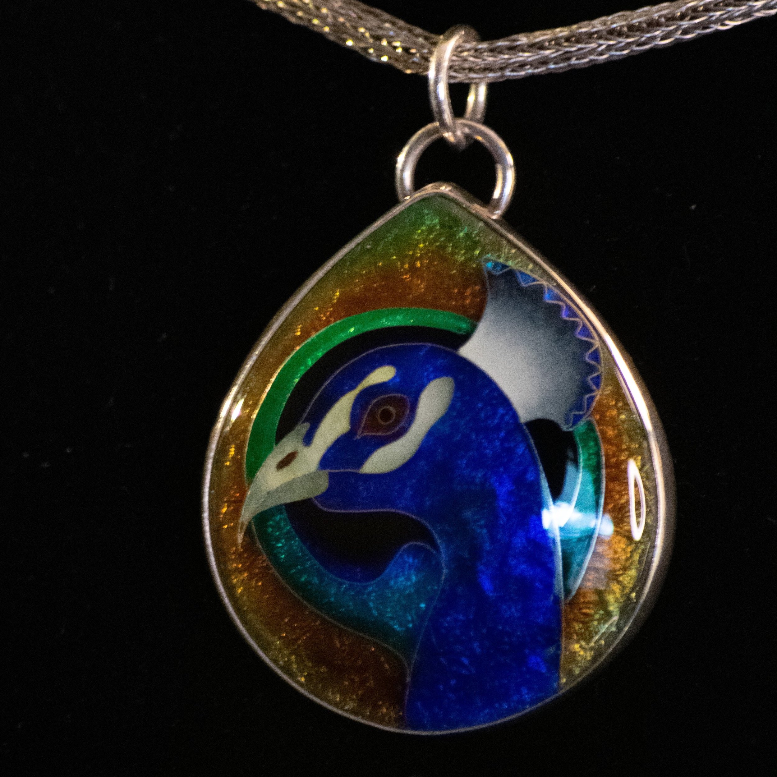 Kevin, the pandemic peacock. Memorial portrait. Author’s collection