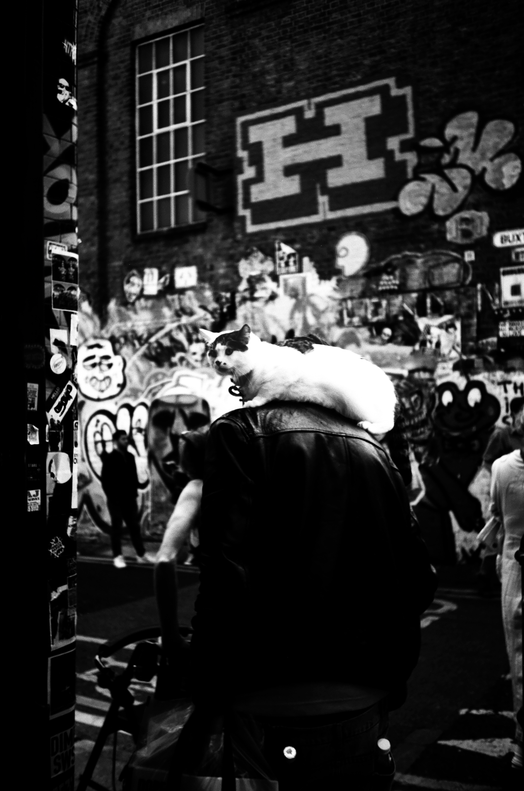 Olympus trip AF mini -  Rollei rpx 25