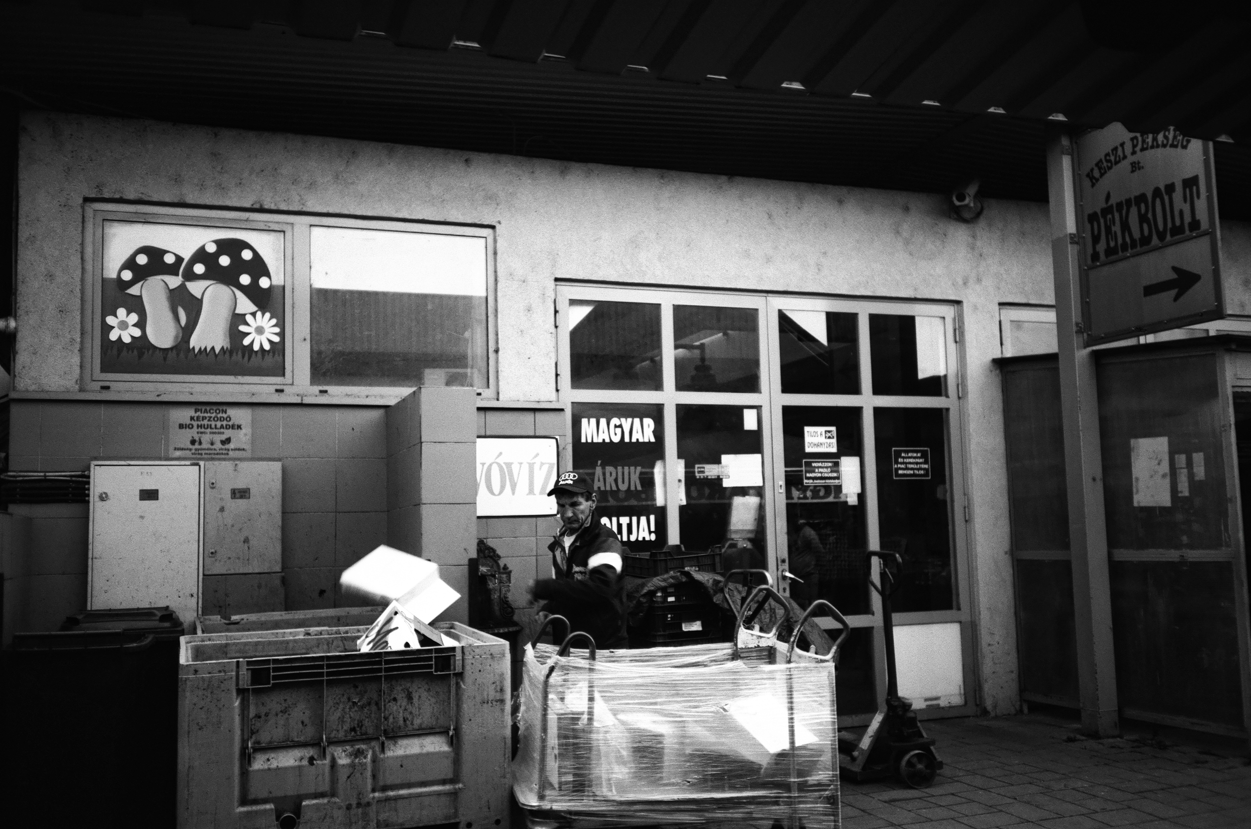 Olympus trip AF mini -  Ferrania P30