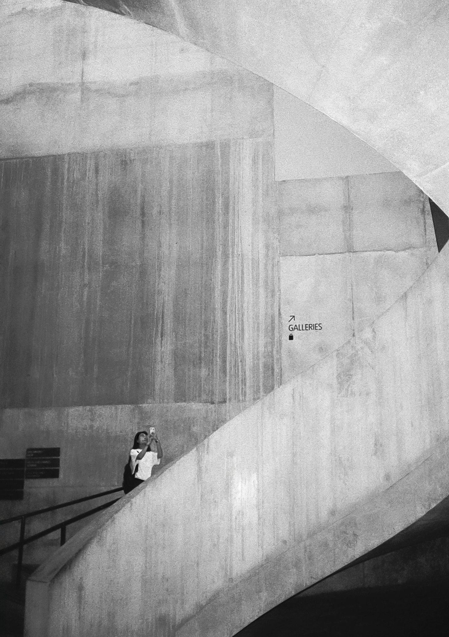 Penatax 17 - Cinestill BWXX 250