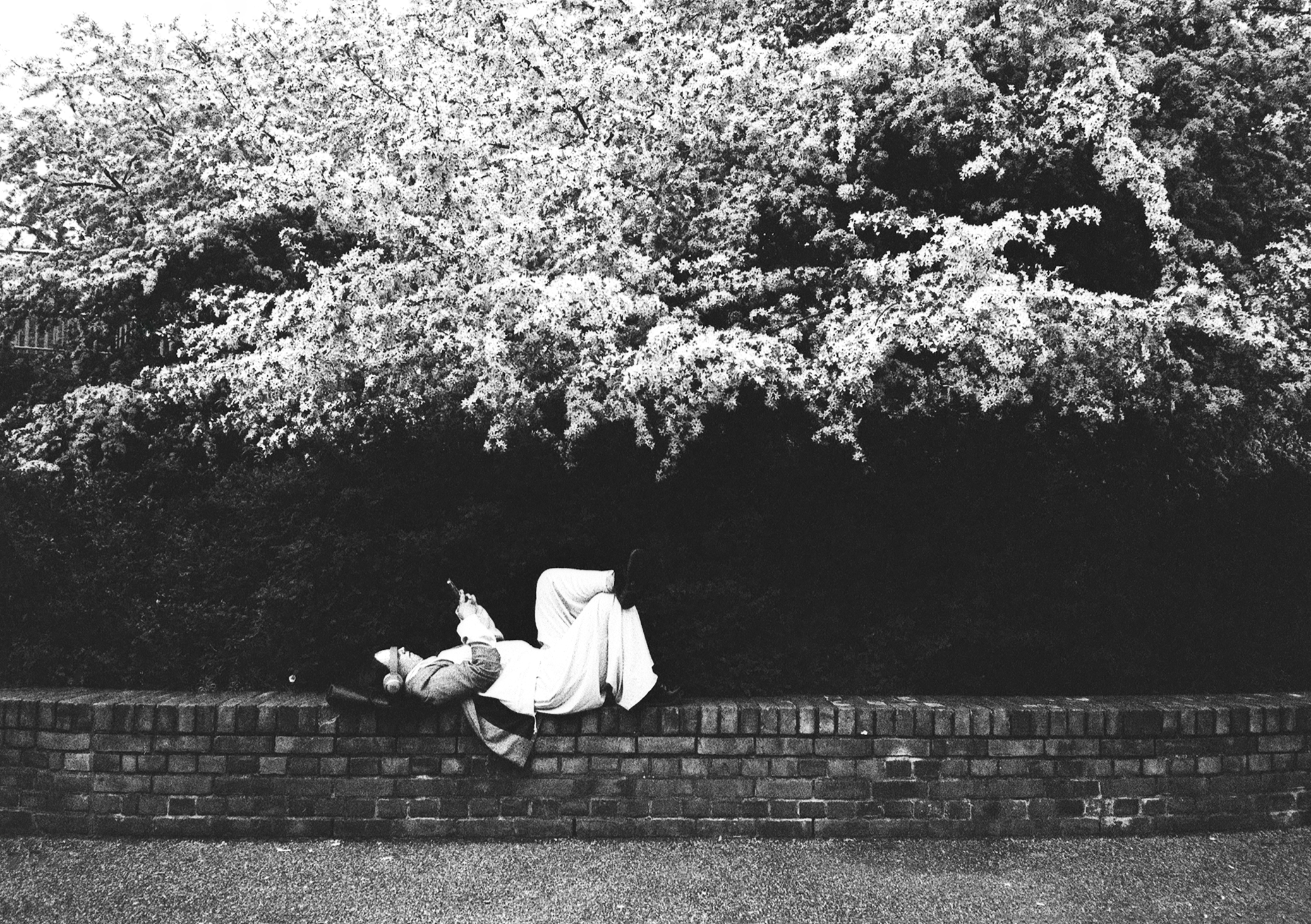 Pentax 17 - Fomapan ortho 400