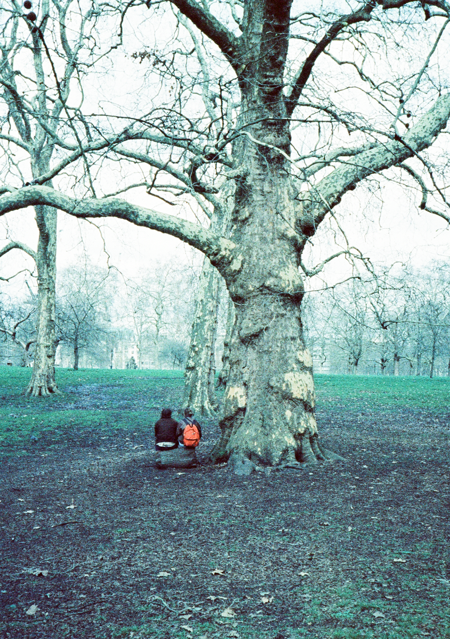 Pentax 17 - Lampersky indy 400