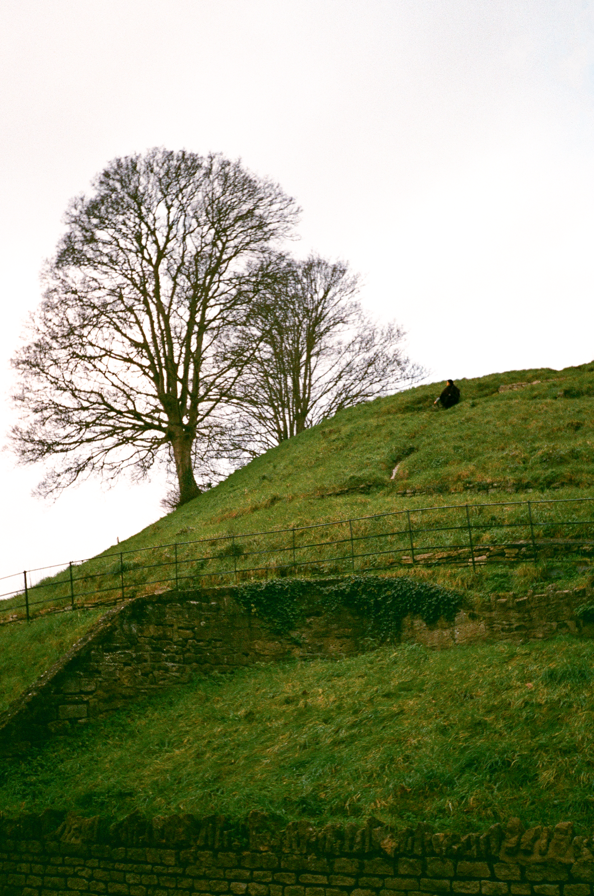 Olympus Trip AF Mini - Lucky film 200