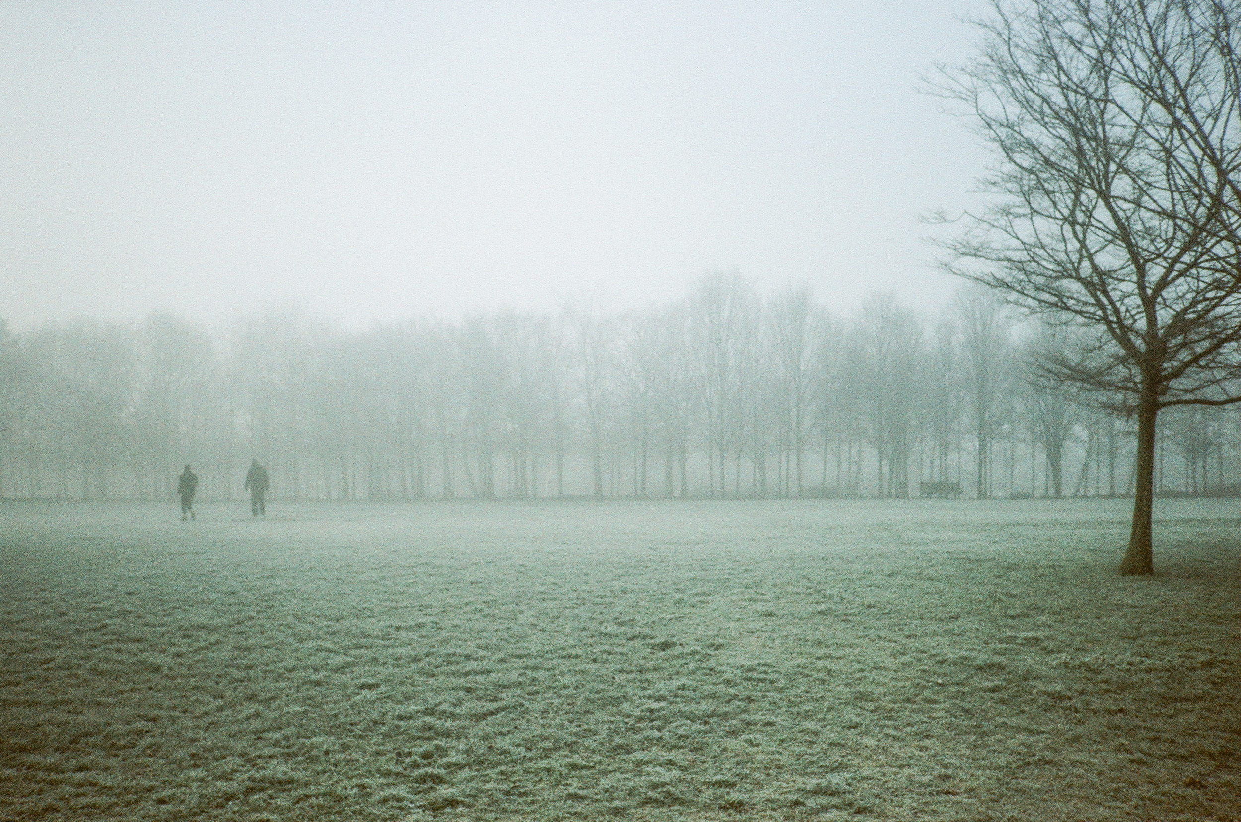 Olympus Trip AF Mini - Agfa color 400