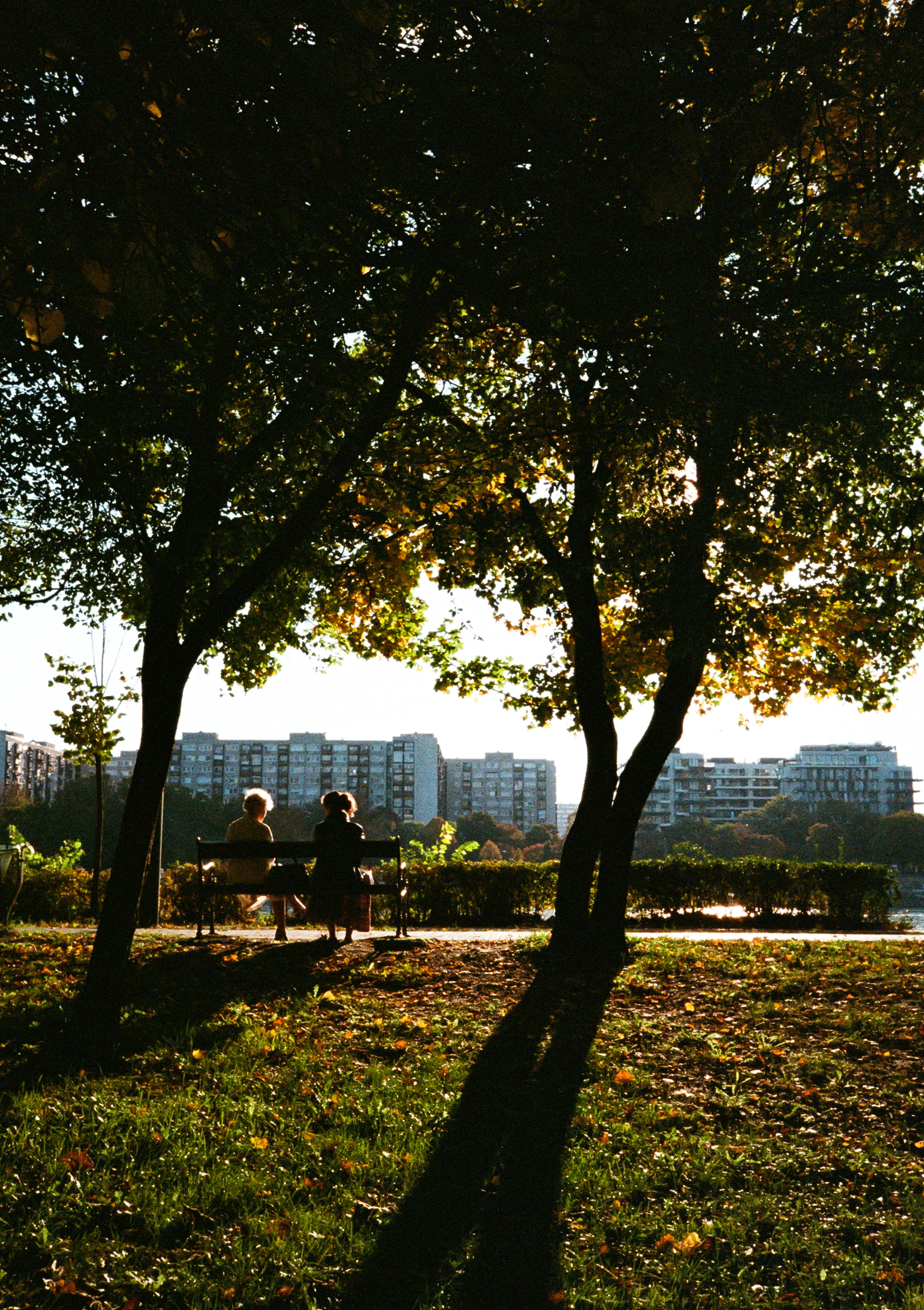 Pentax 17 - Kodak 400