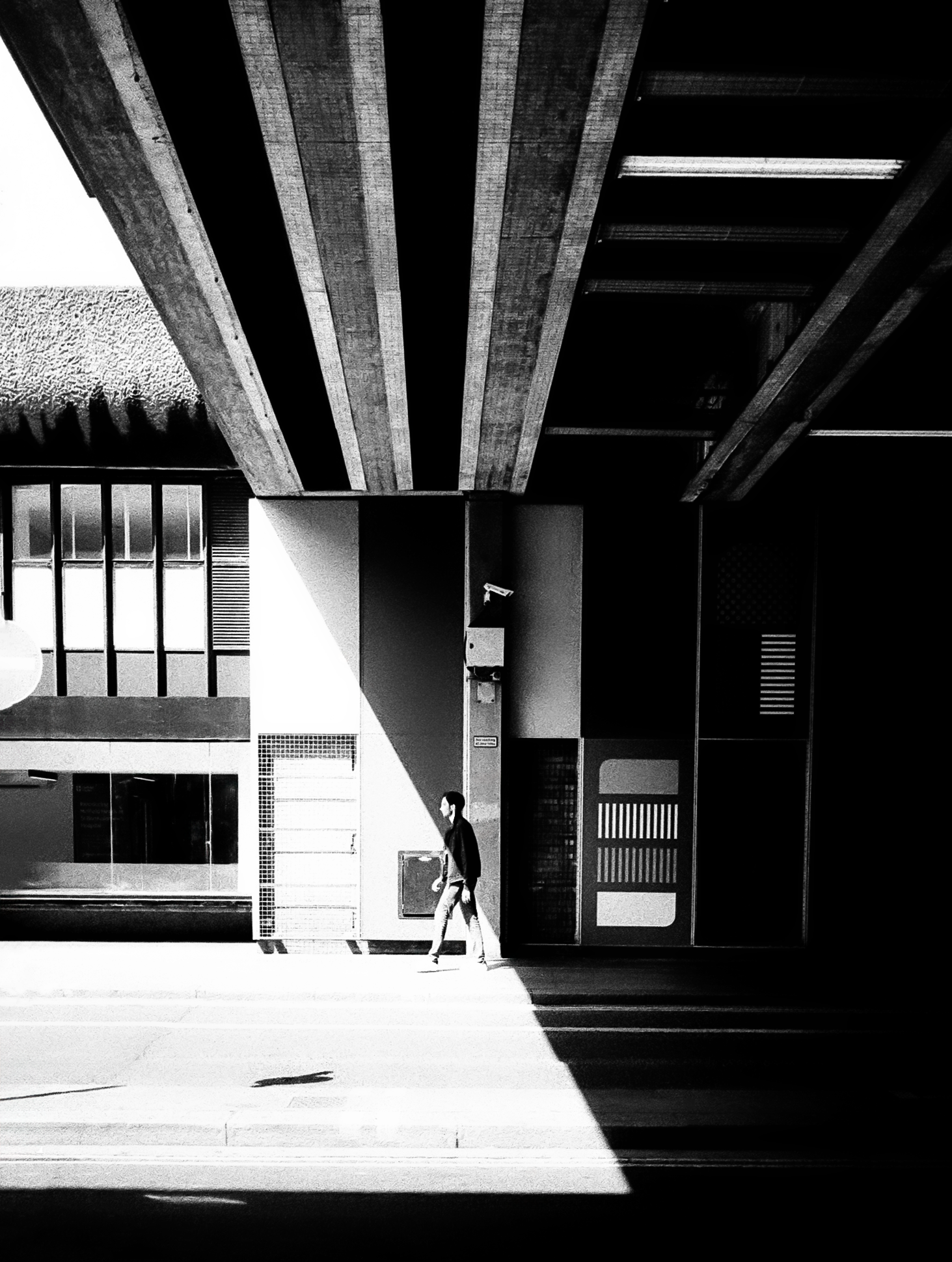 Penatax 17 - Cinestill BWXX 250