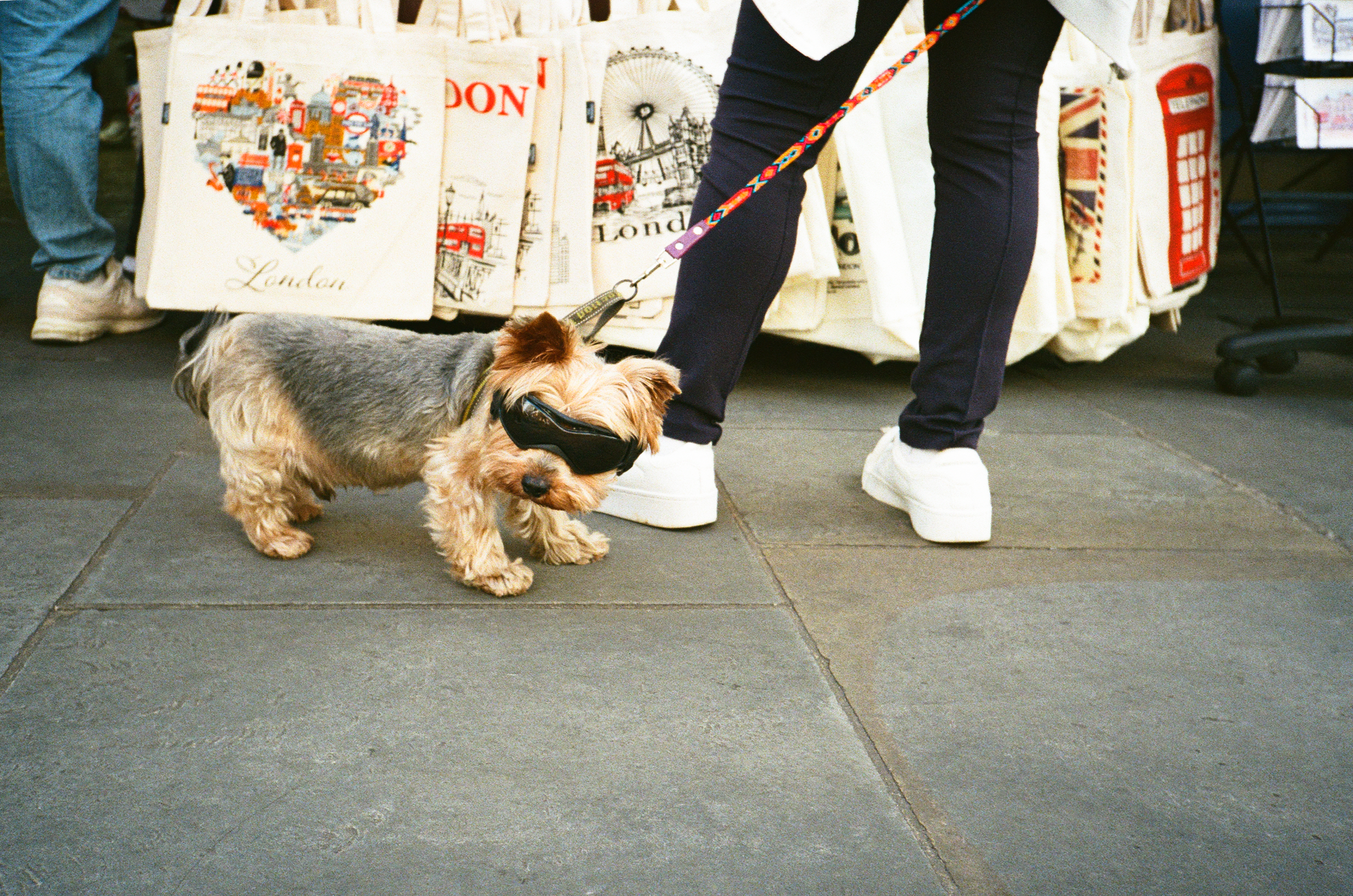 Olympus Trip AF Mini - Fujifilm 400