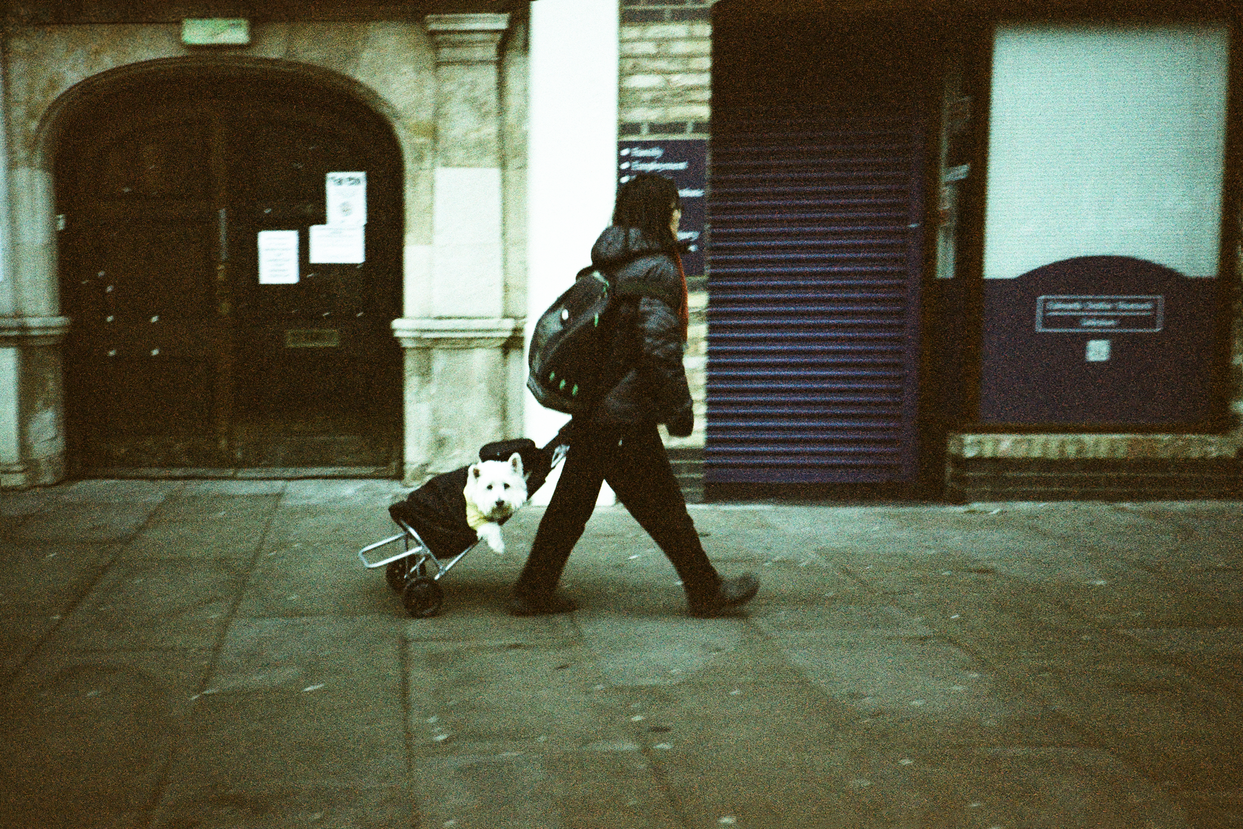 Olympus Trip AF Mini - Agfa color 400