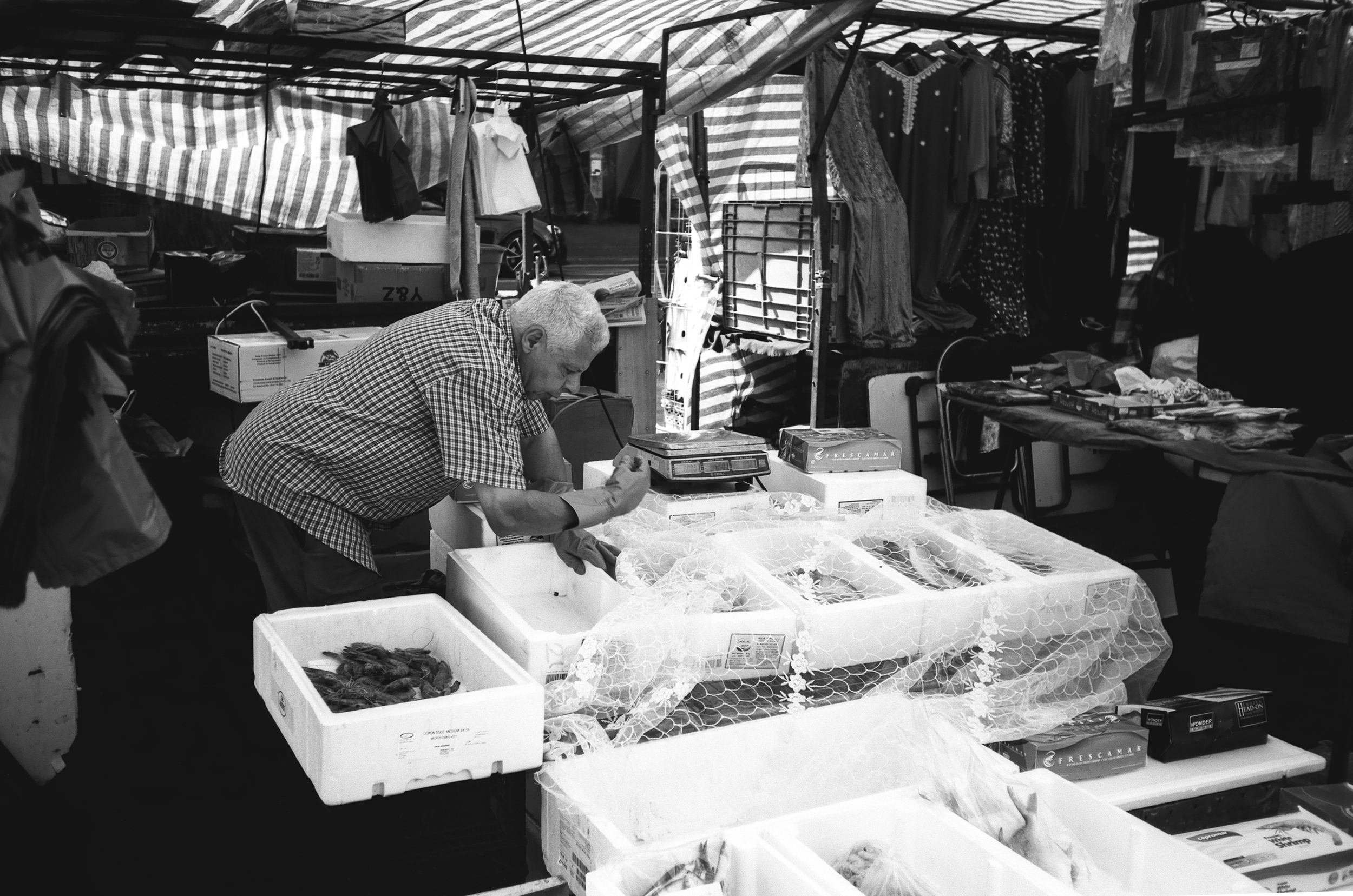 Olympus trip AF mini -  Rollei rpx 25