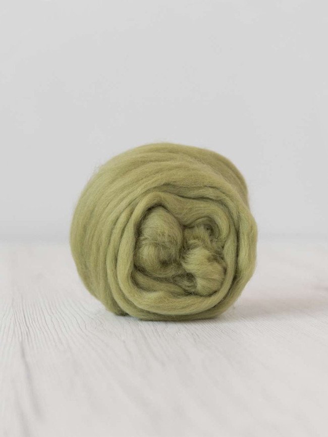 Asparagus Wool Roving.jpg