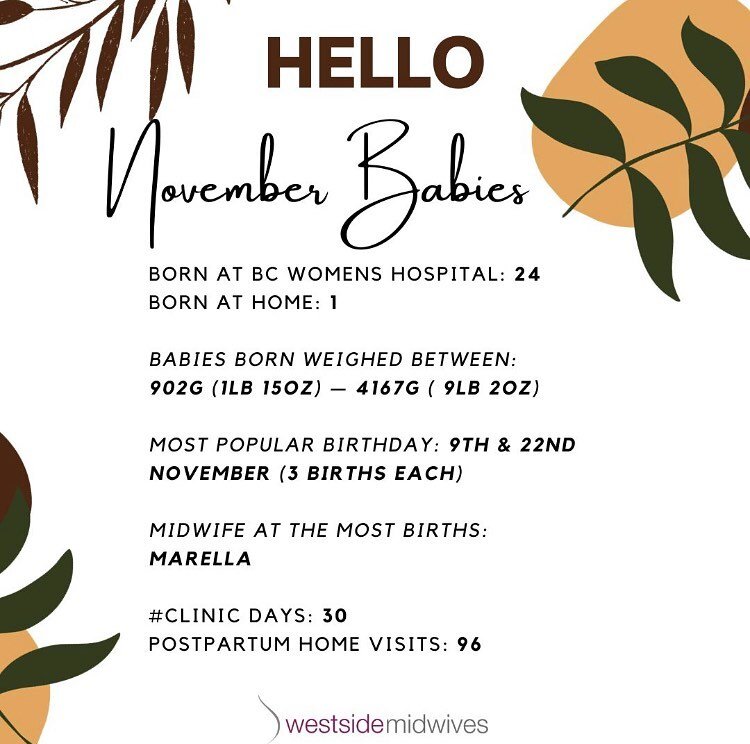 Here&rsquo;s what we were up to in November. 

Every month, our midwives each have several days in clinic for prenatal and postpartum appointments. We aim for you to meet every midwife on your team by the time you come to give birth, and you&rsquo;ll