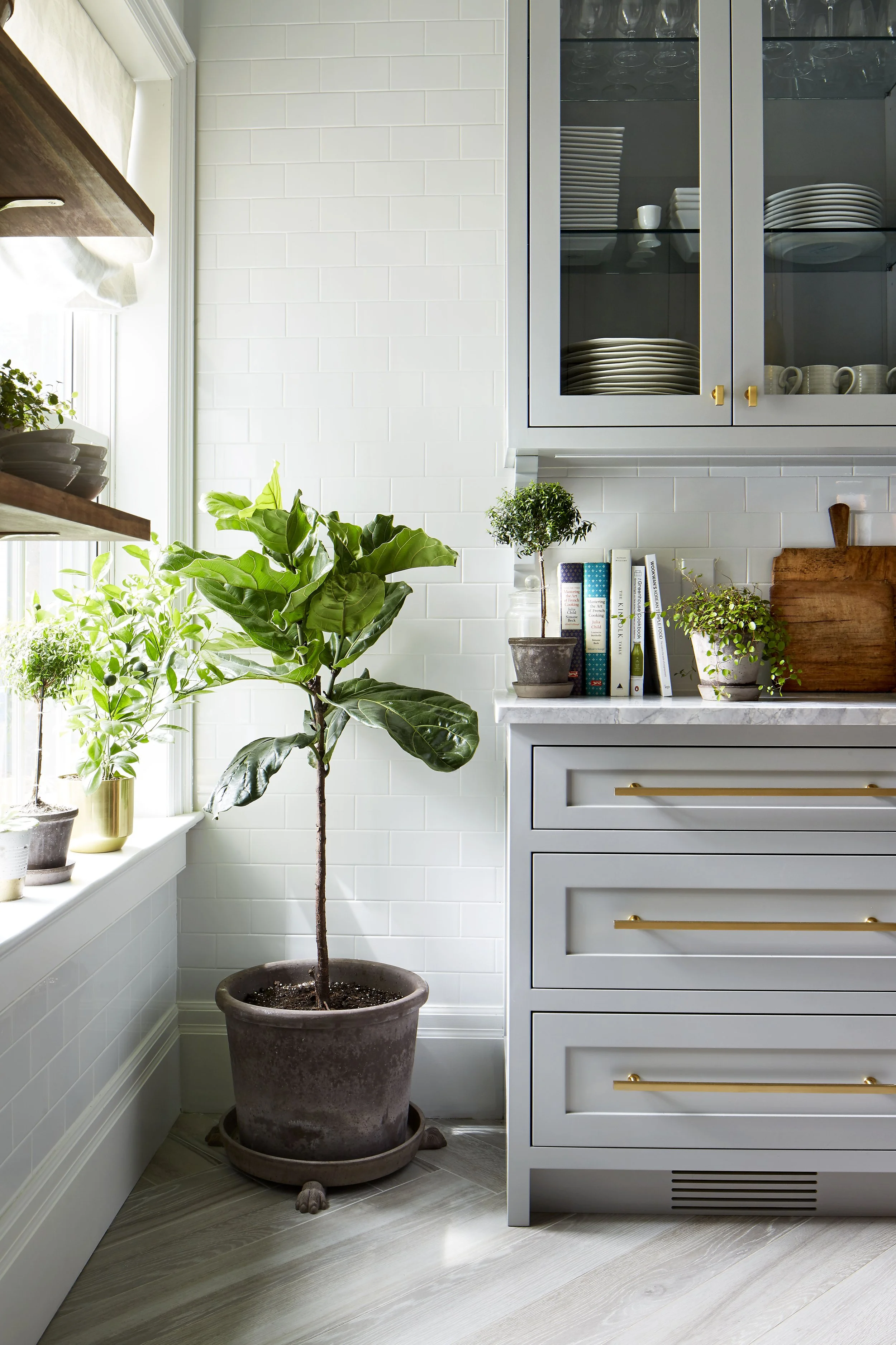 Kitchen_Vignette_Plants-014_HERO_M1.jpg