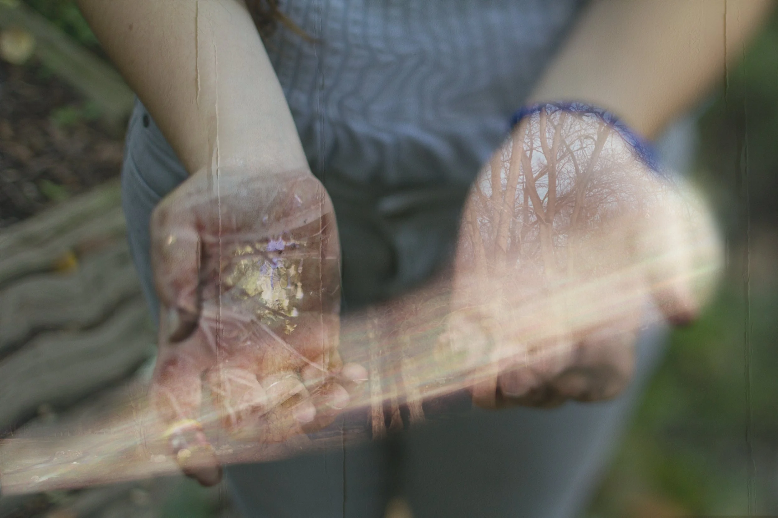 Close-up of a person planting a small plant in soil with trees and sky reflected on a glass surface.