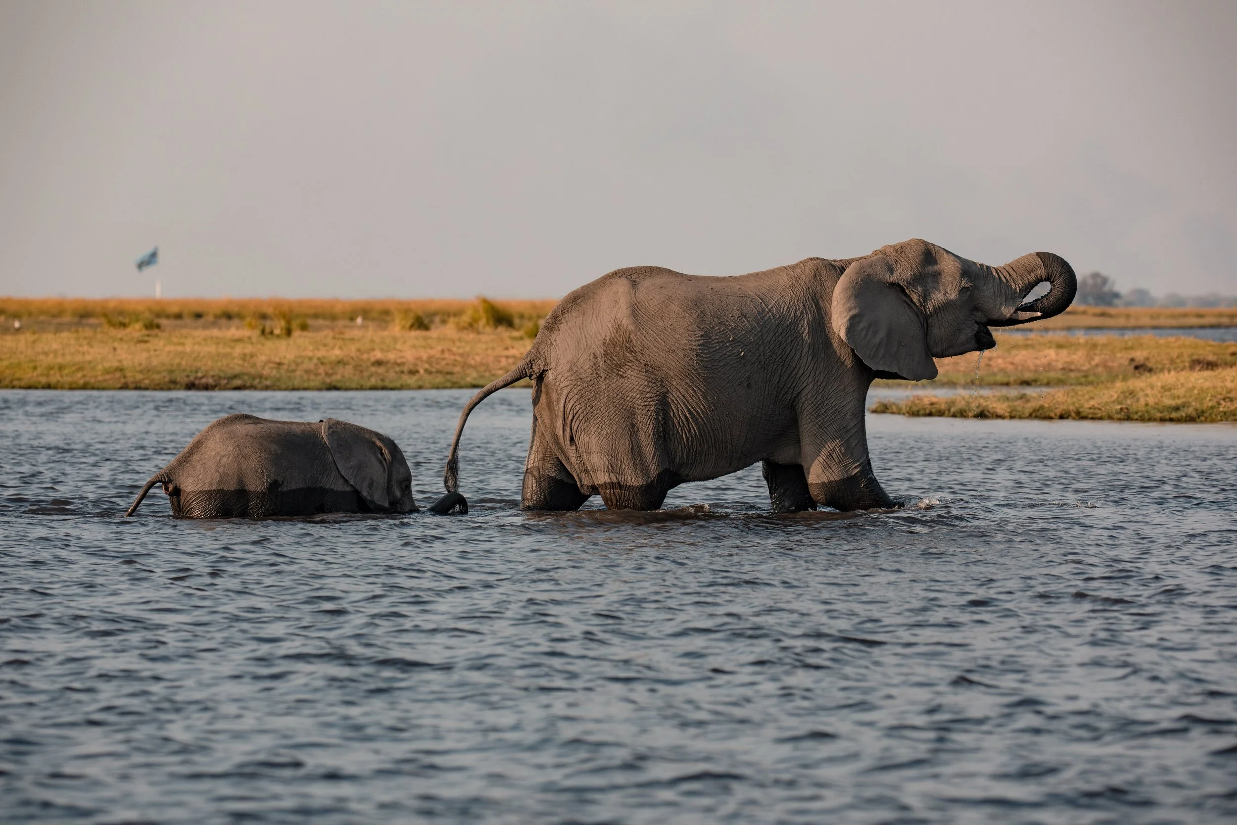 NAMIBIA
