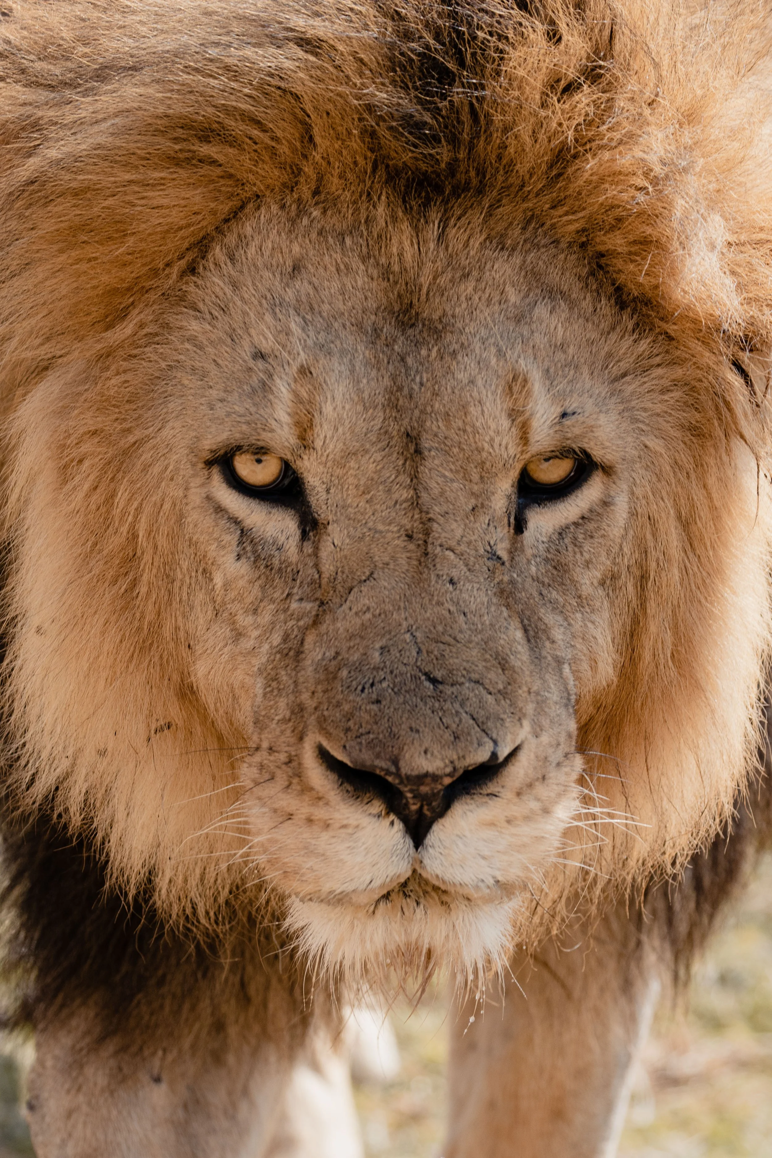 KENYA-21-1-15.jpg
