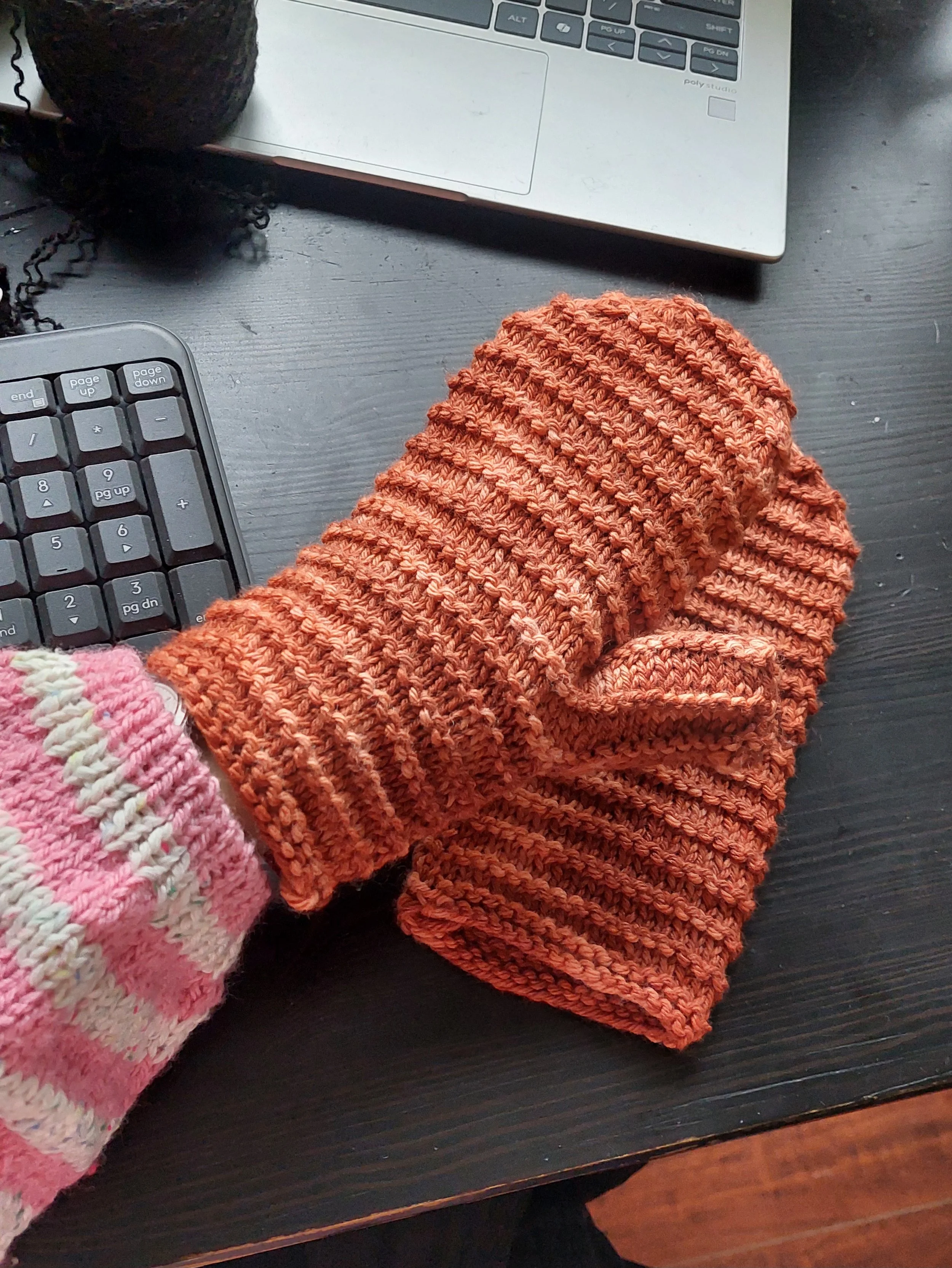Elisabeth's Monday mittens 2.jpg