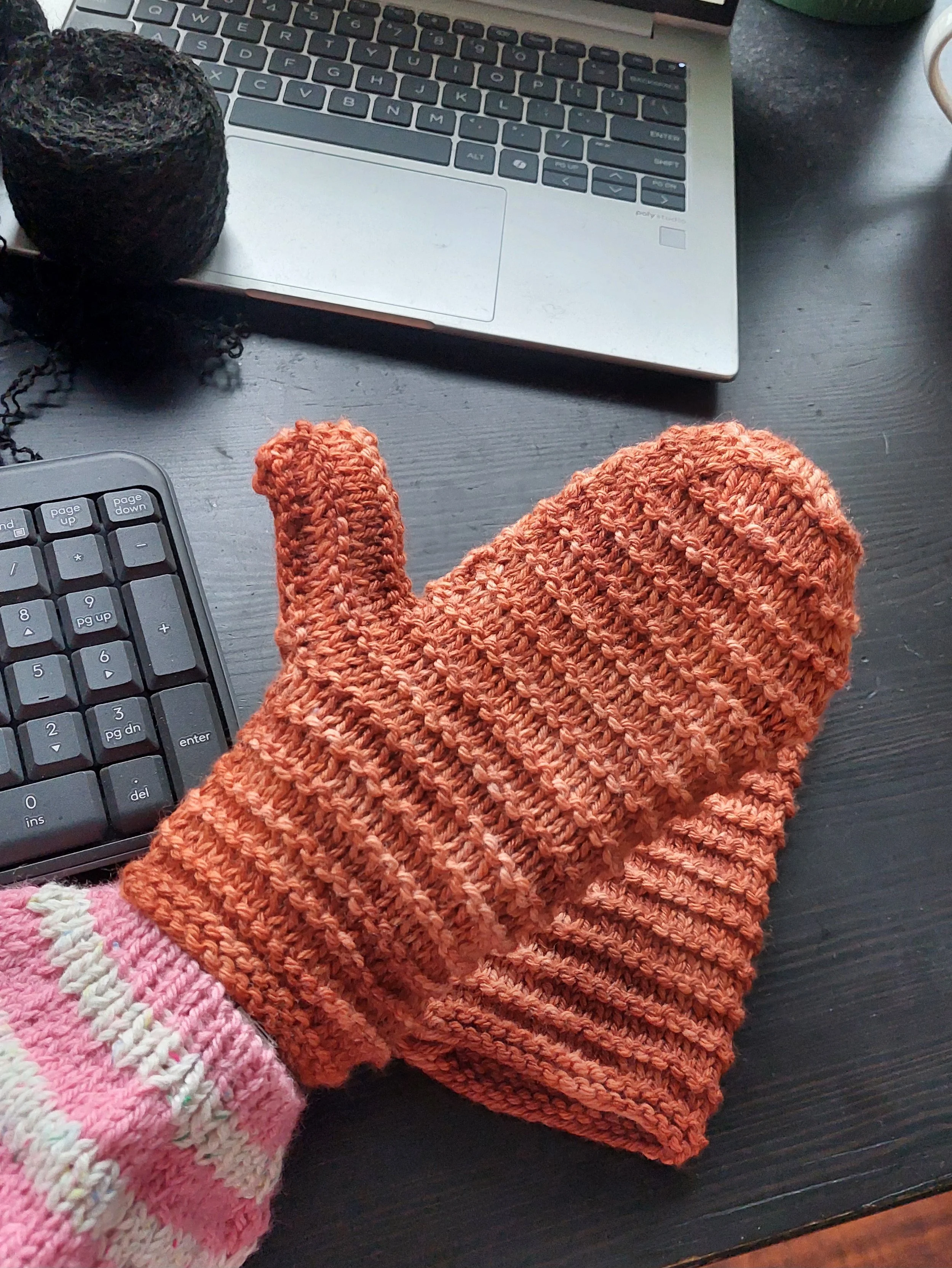 Elisabeth's Monday mittens 1.jpg